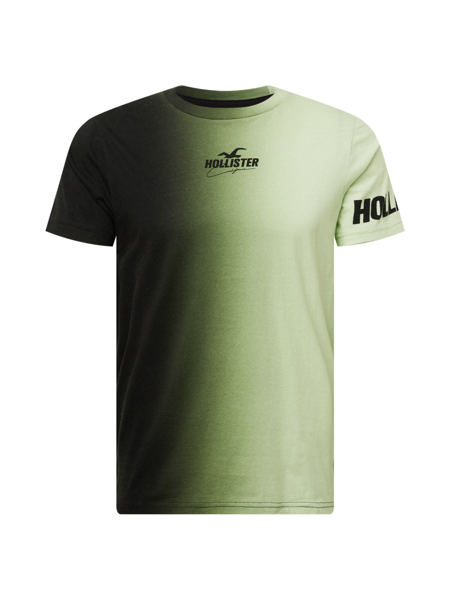 HOLLISTER Tricou verde pin / verde pastel - Pled.ro