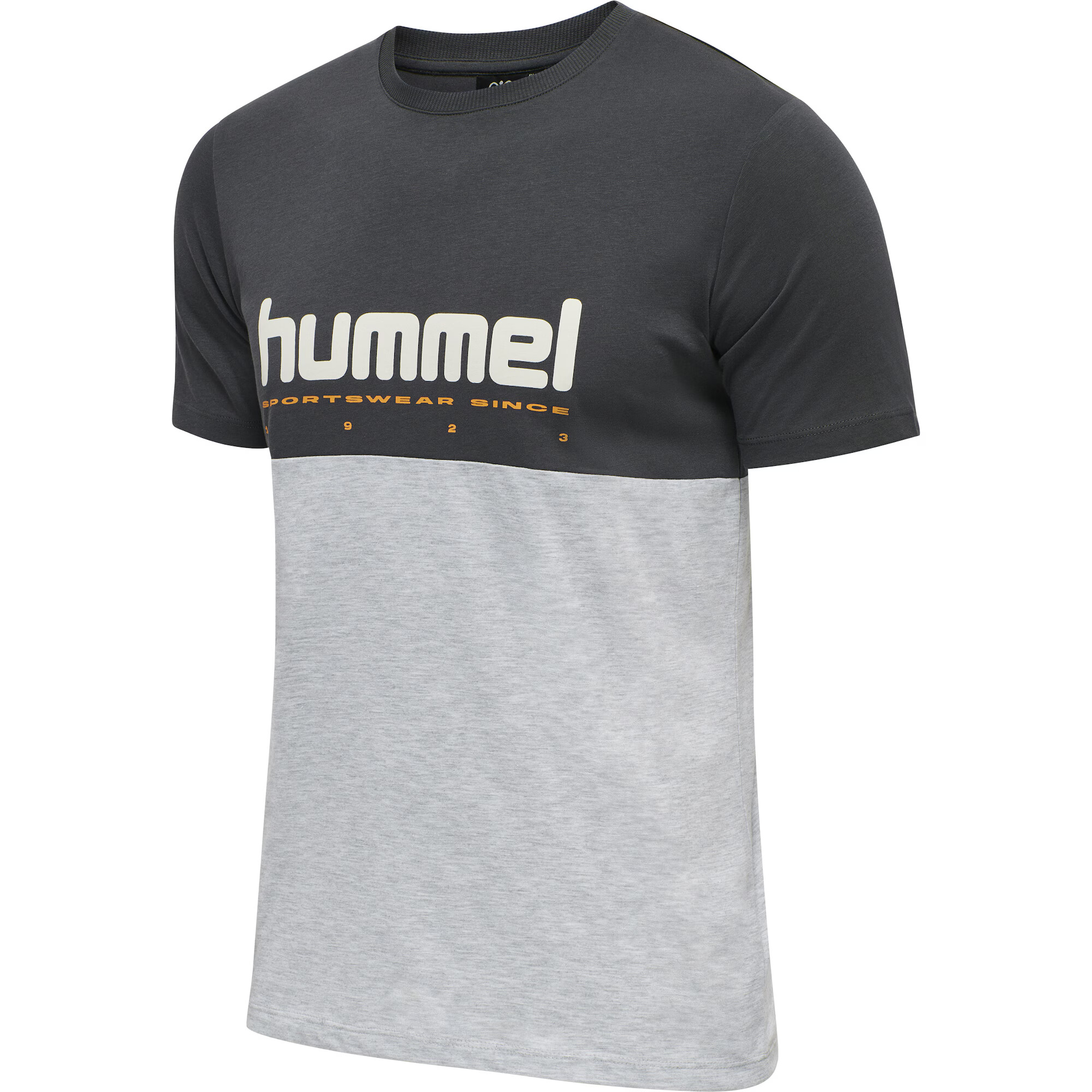 Hummel Tricou funcțional 'Manfred' gri metalic / gri amestecat / portocaliu / alb - Pled.ro