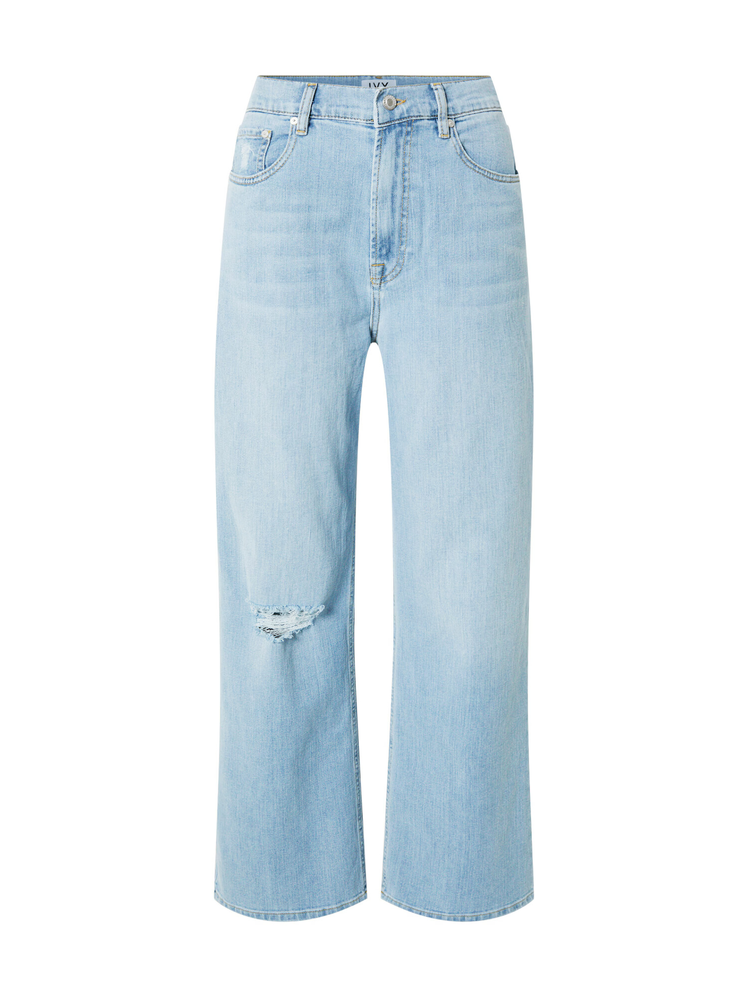 Ivy Copenhagen Jeans 'Brooke' albastru denim - Pled.ro