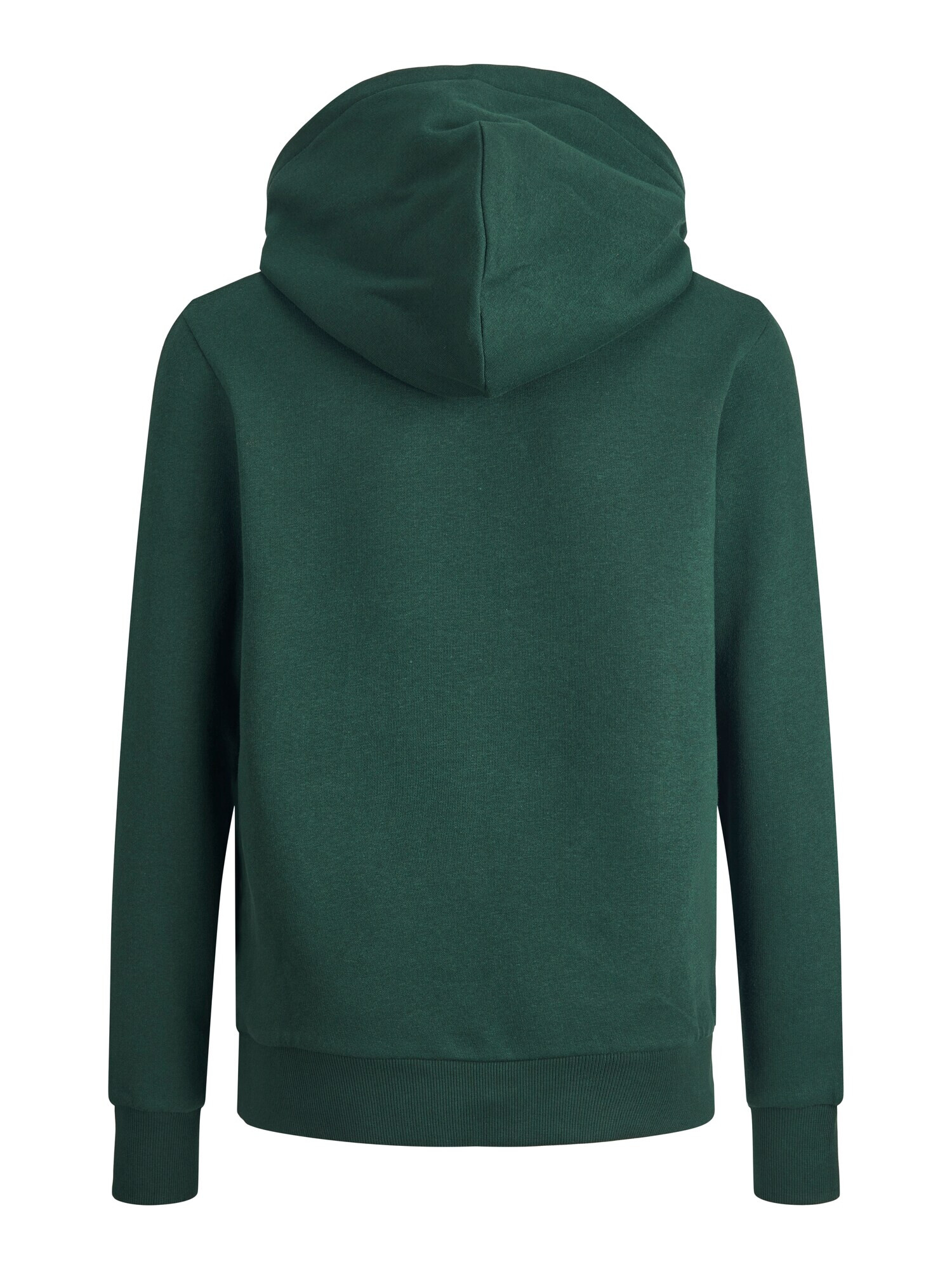 Jack & Jones Junior Bluză de molton verde pin / alb - Pled.ro