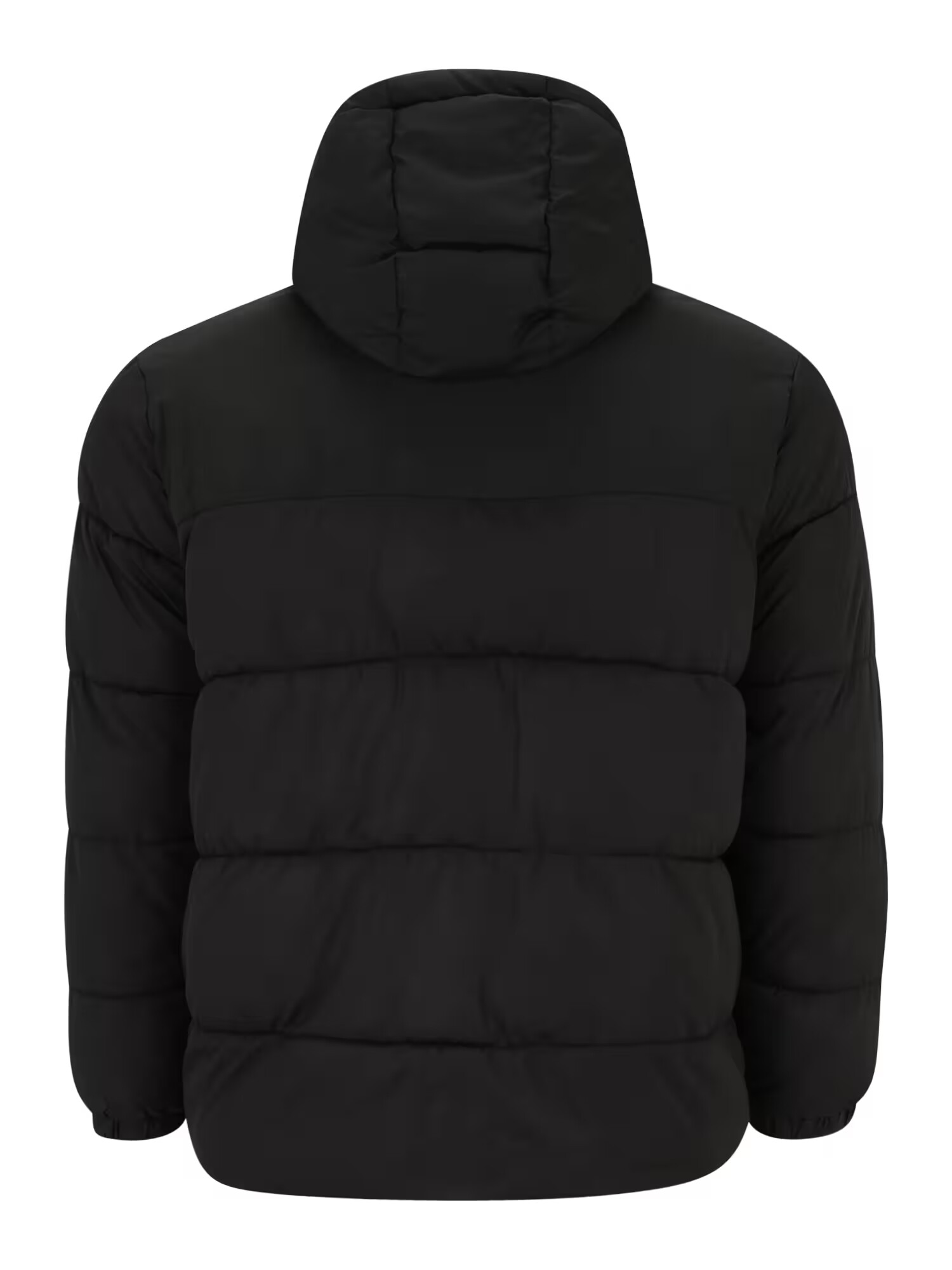 Jack & Jones Plus Geacă de iarnă 'CHILI' negru - Pled.ro