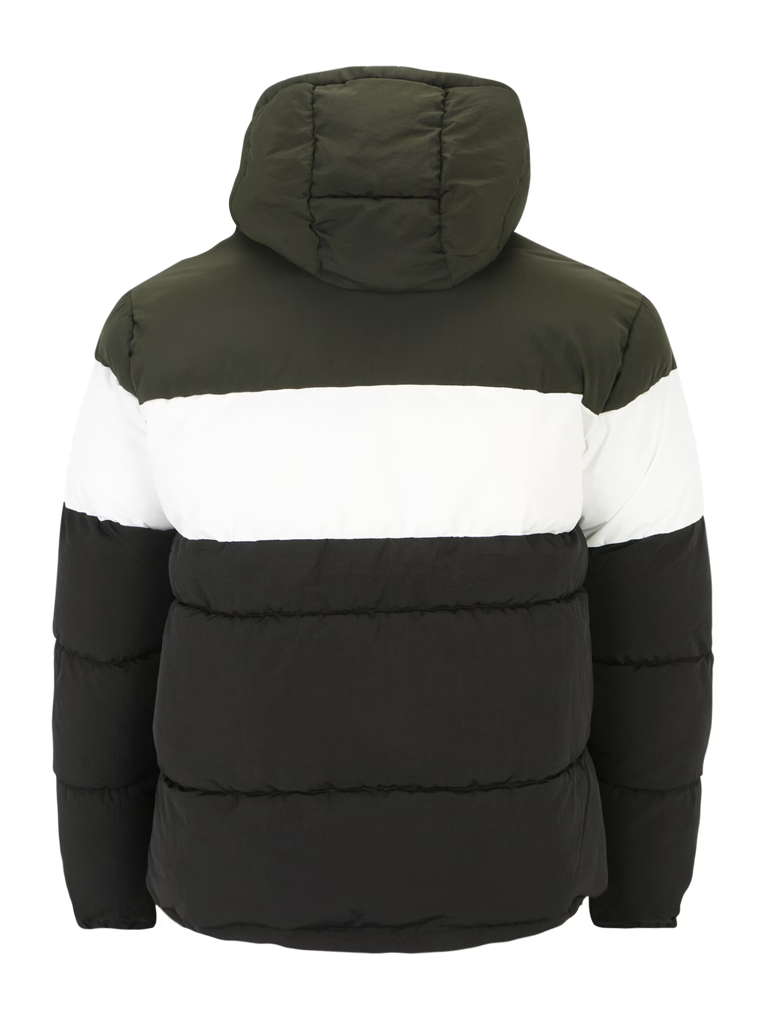 Jack & Jones Plus Geacă de iarnă 'DANIEL' verde închis / negru / alb - Pled.ro