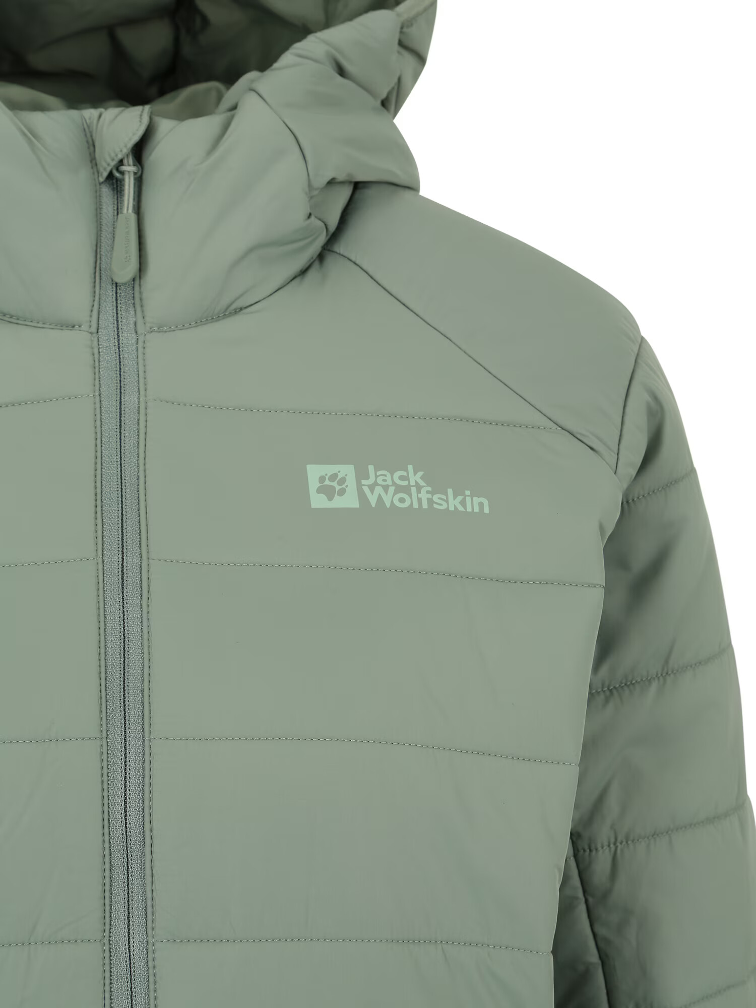 JACK WOLFSKIN Geacă fâș 'BERGLAND' verde pastel - Pled.ro