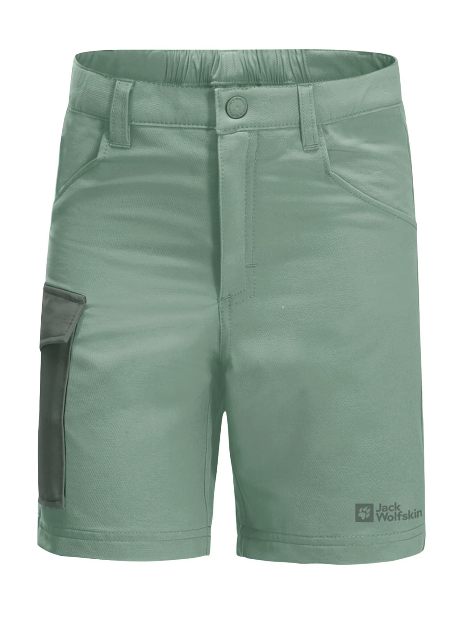 JACK WOLFSKIN Pantaloni outdoor verde / verde închis - Pled.ro