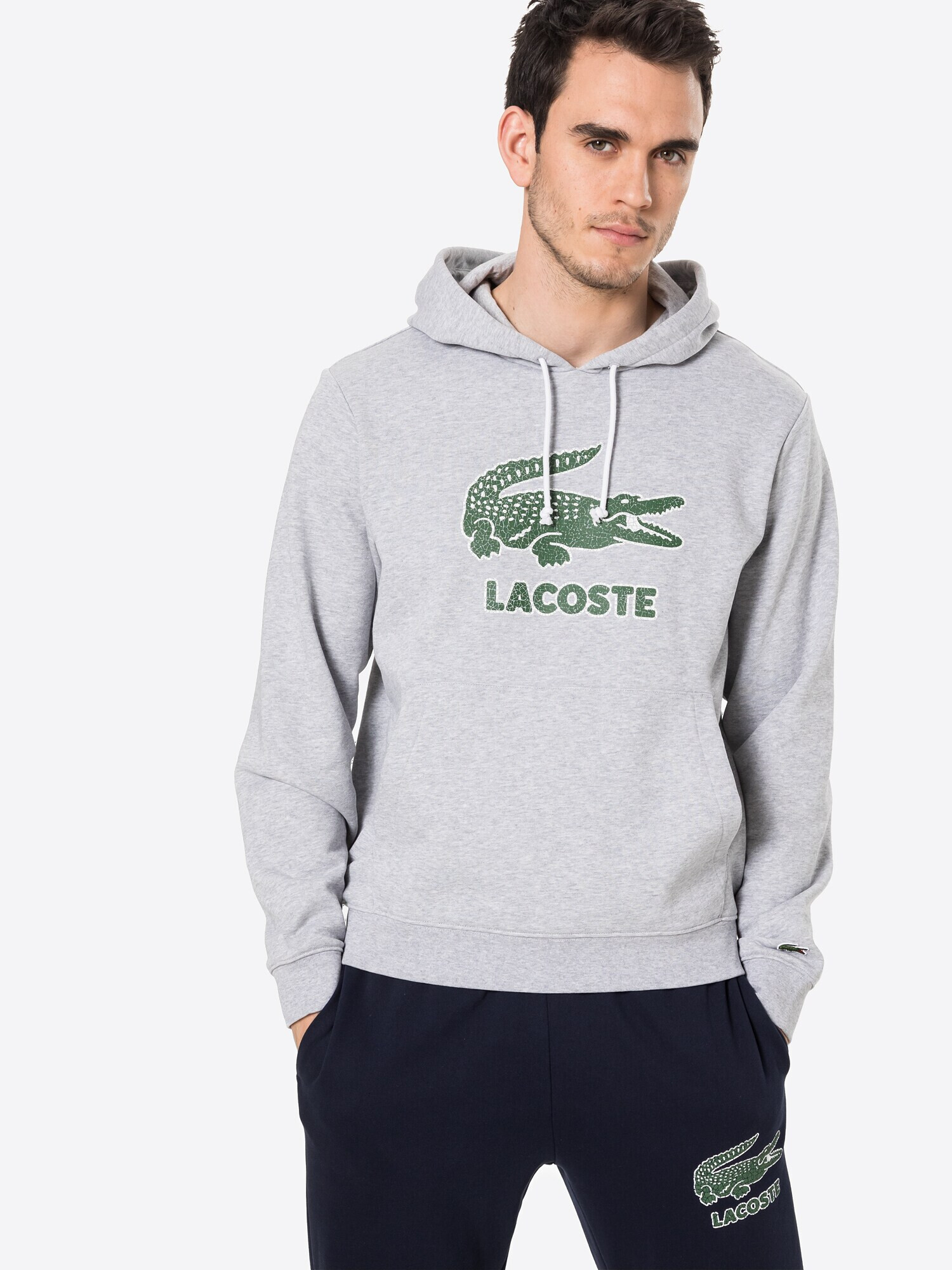 LACOSTE Bluză de molton gri amestecat / verde iarbă / alb - Pled.ro