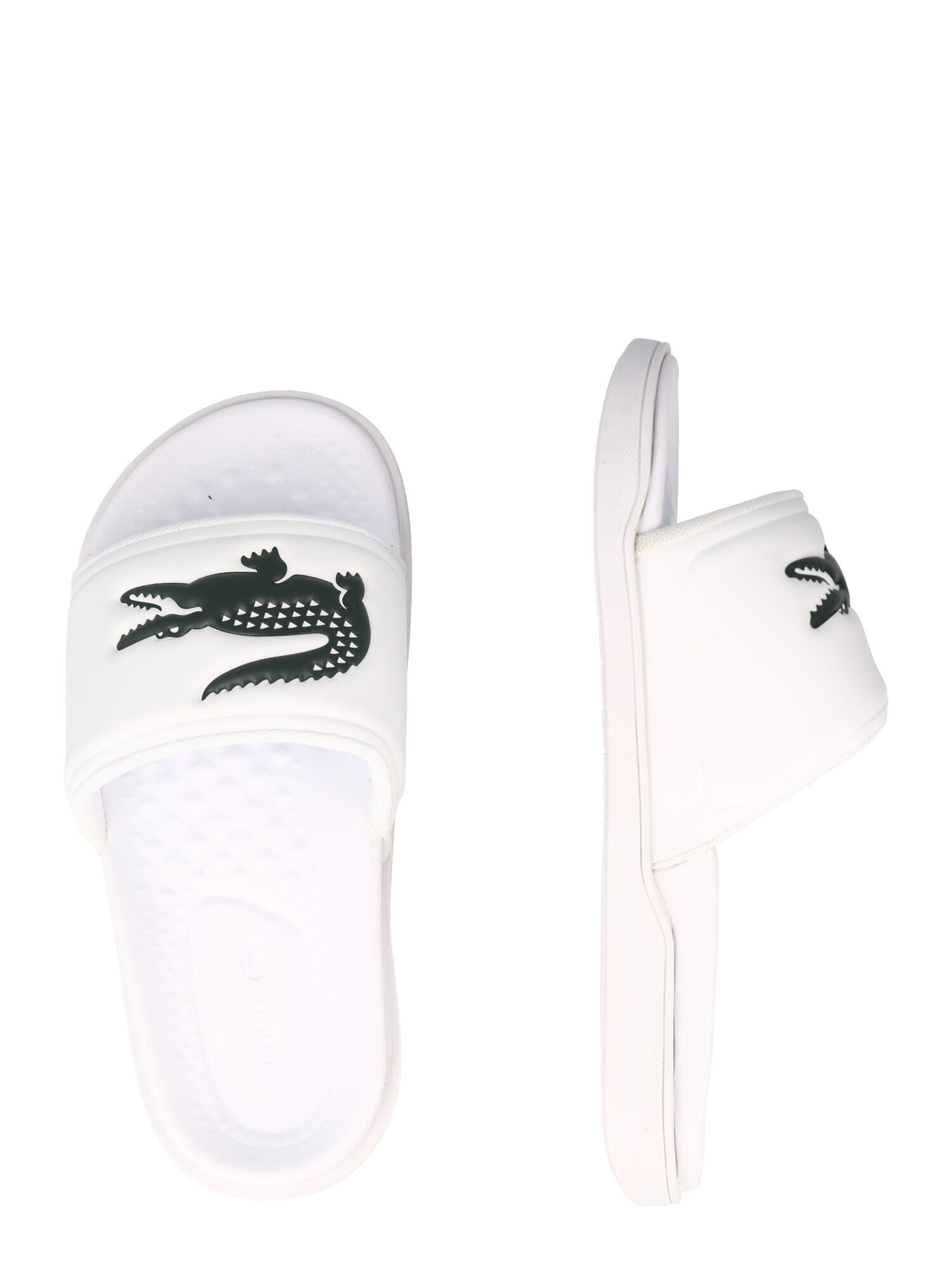 LACOSTE Flip-flops verde / alb - Pled.ro