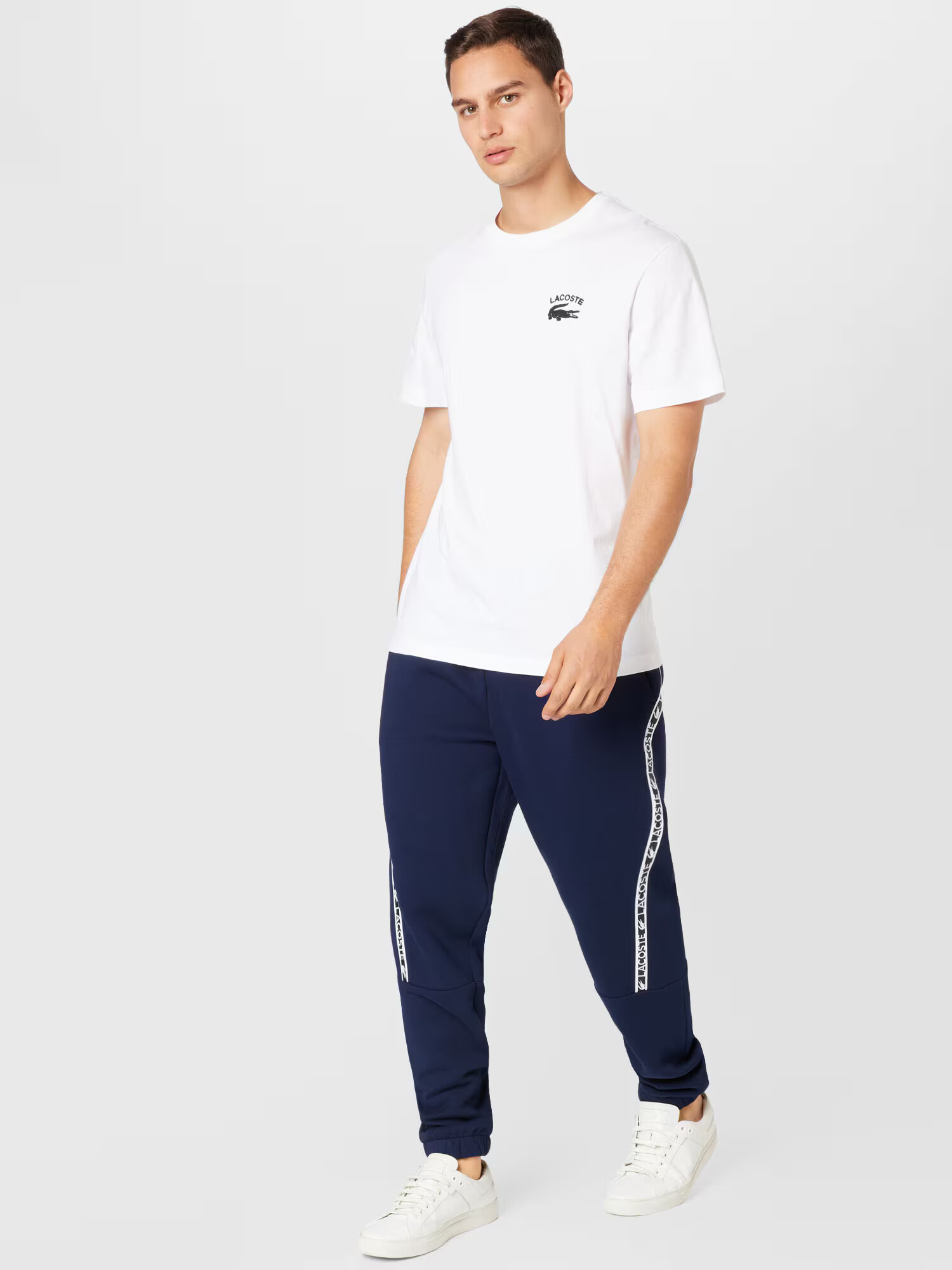 LACOSTE Pantaloni albastru marin / alb - Pled.ro