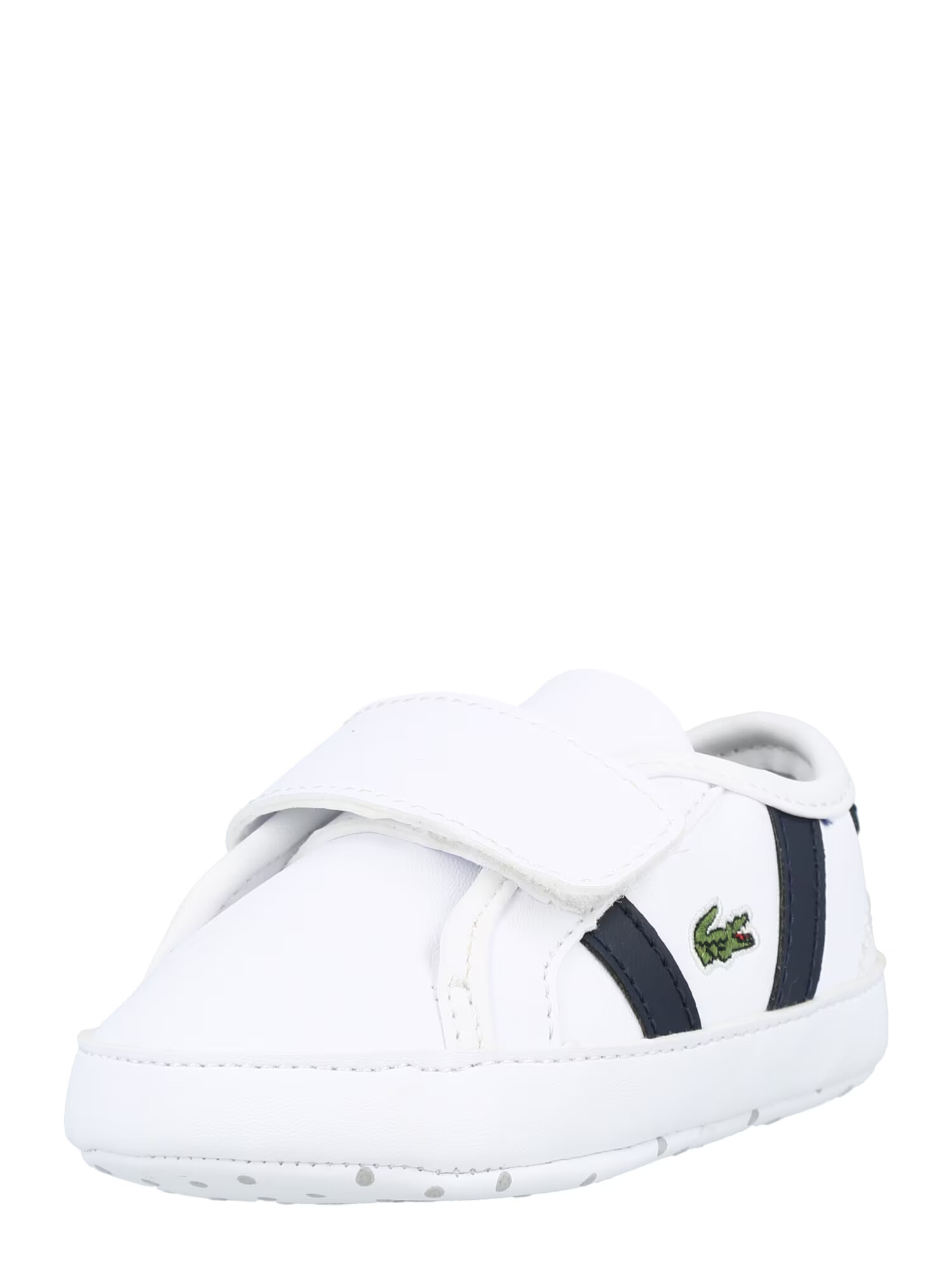 LACOSTE Sneaker albastru / verde / alb - Pled.ro