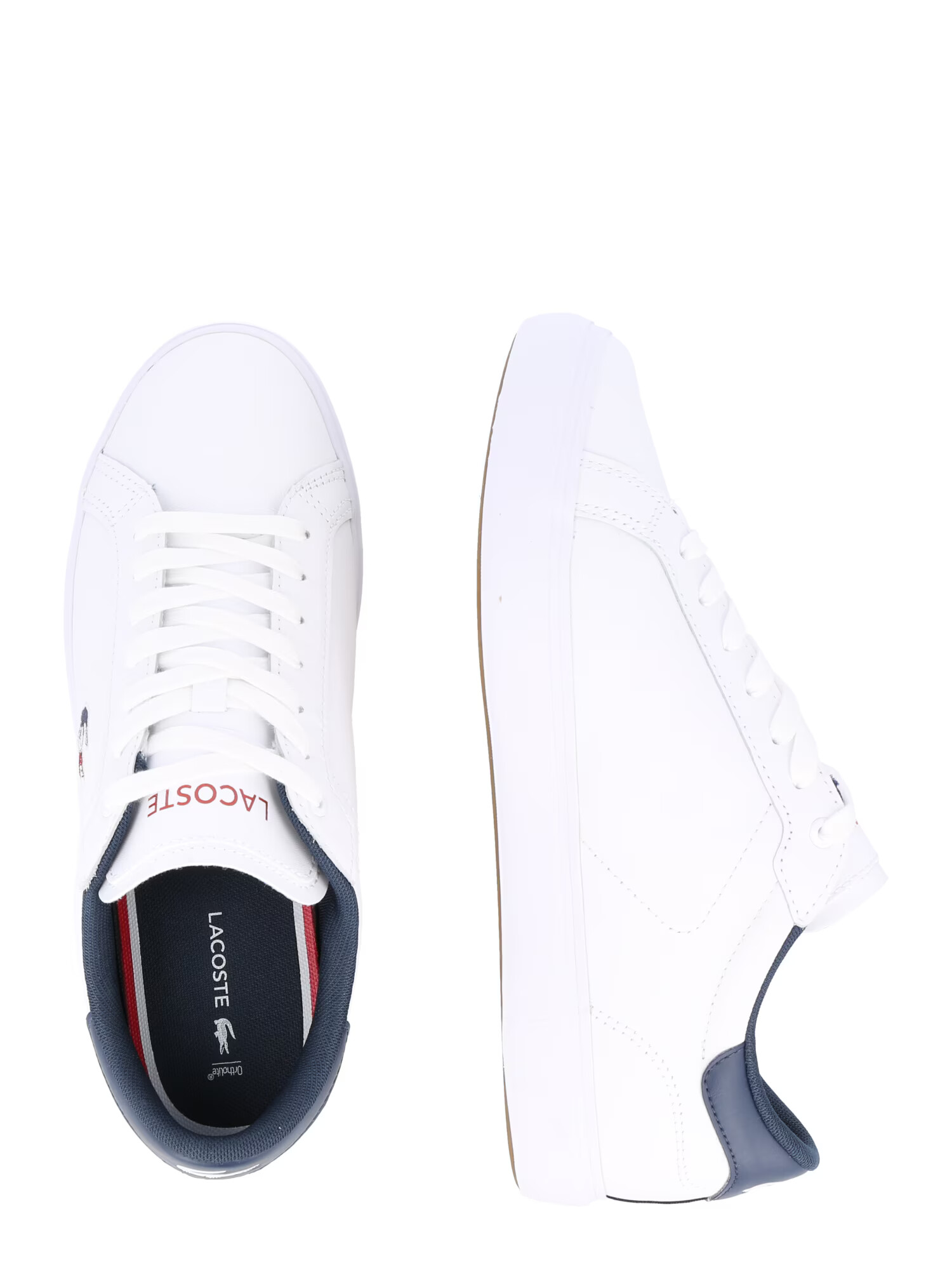 LACOSTE Sneaker low bleumarin / roși aprins / alb - Pled.ro