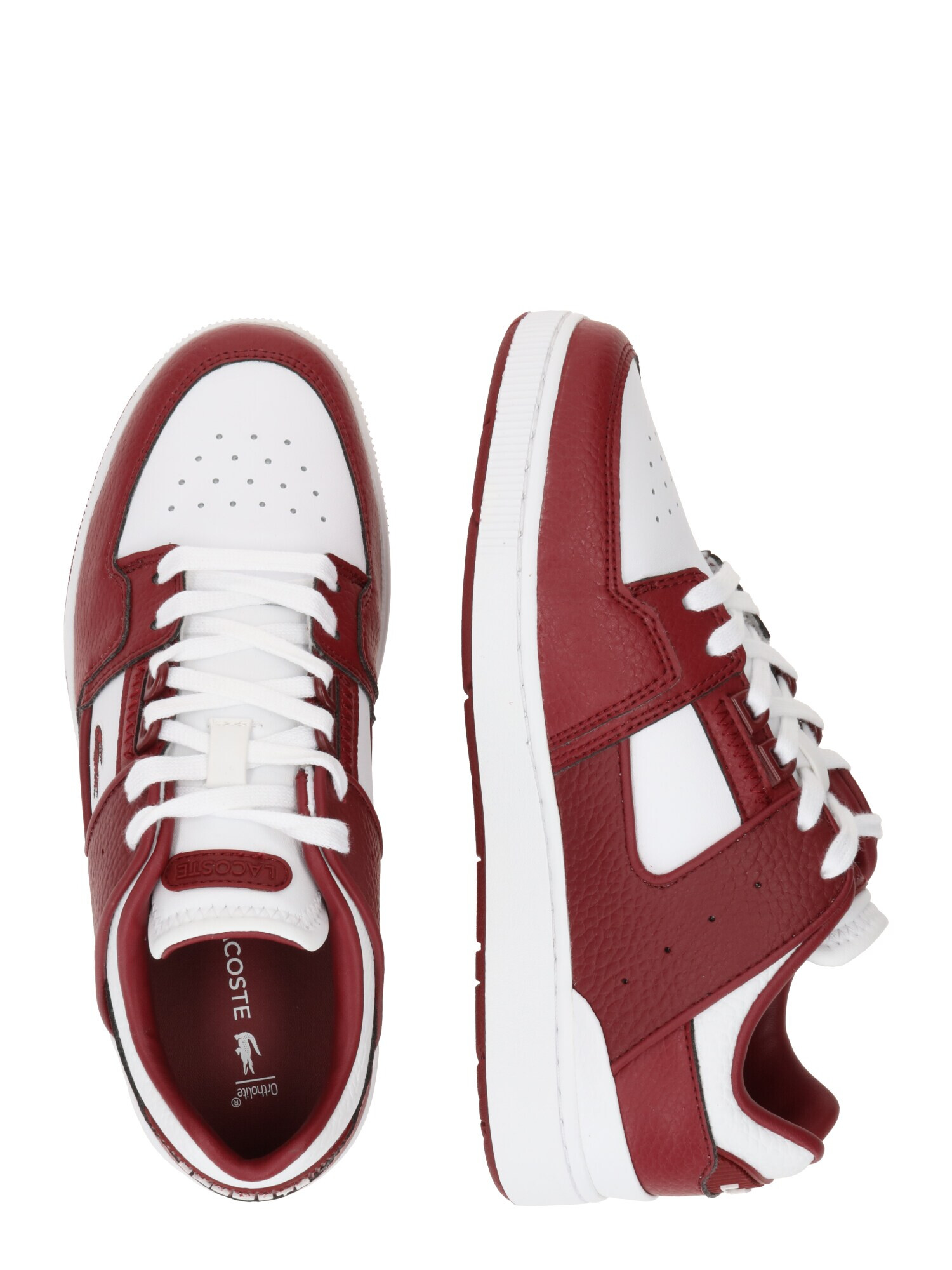 LACOSTE Sneaker low 'COURT CAGE 223 2 SFA' roșu burgundy / alb - Pled.ro