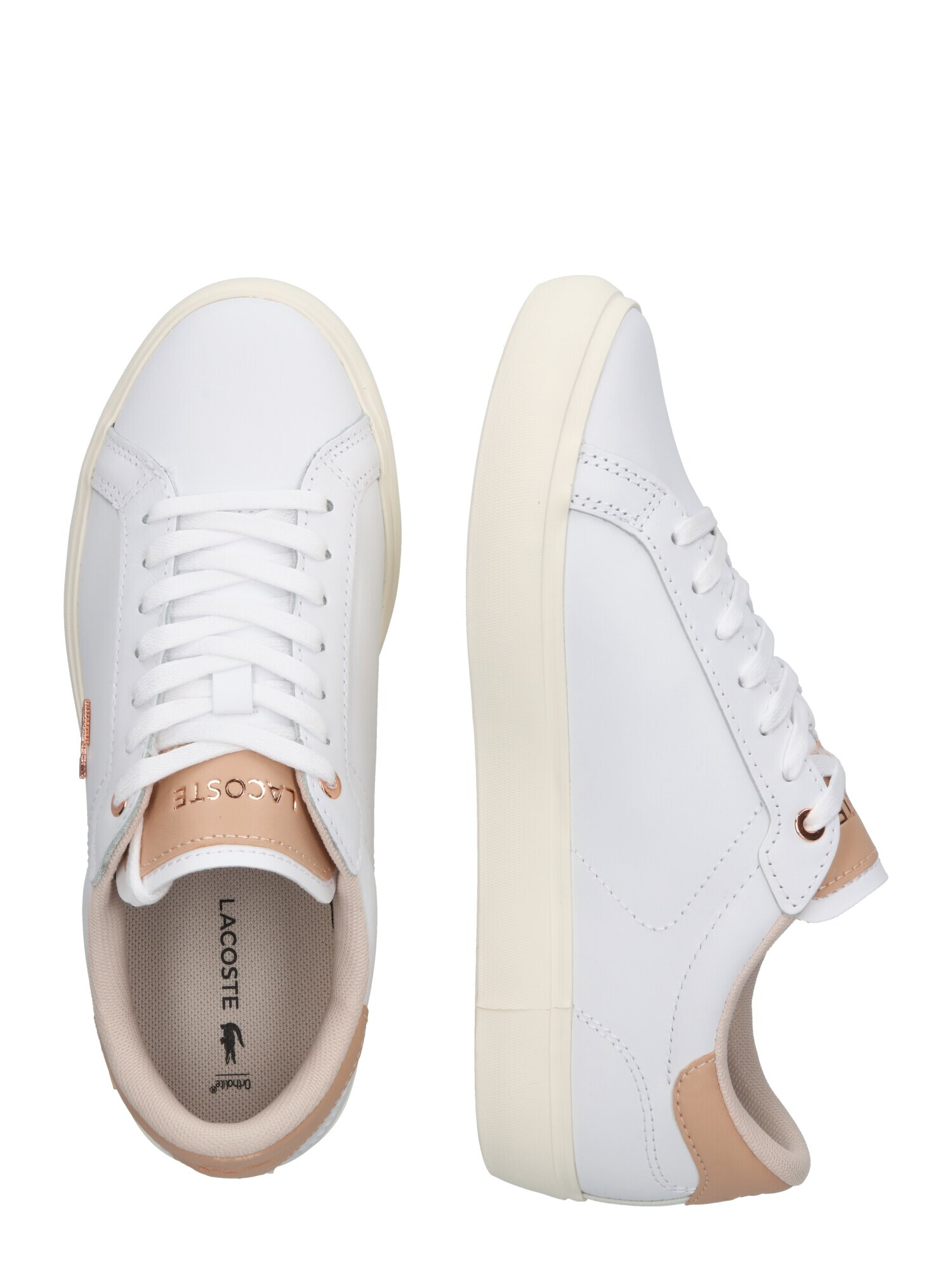 LACOSTE Sneaker low 'Powercourt' maro cappuccino / alb - Pled.ro