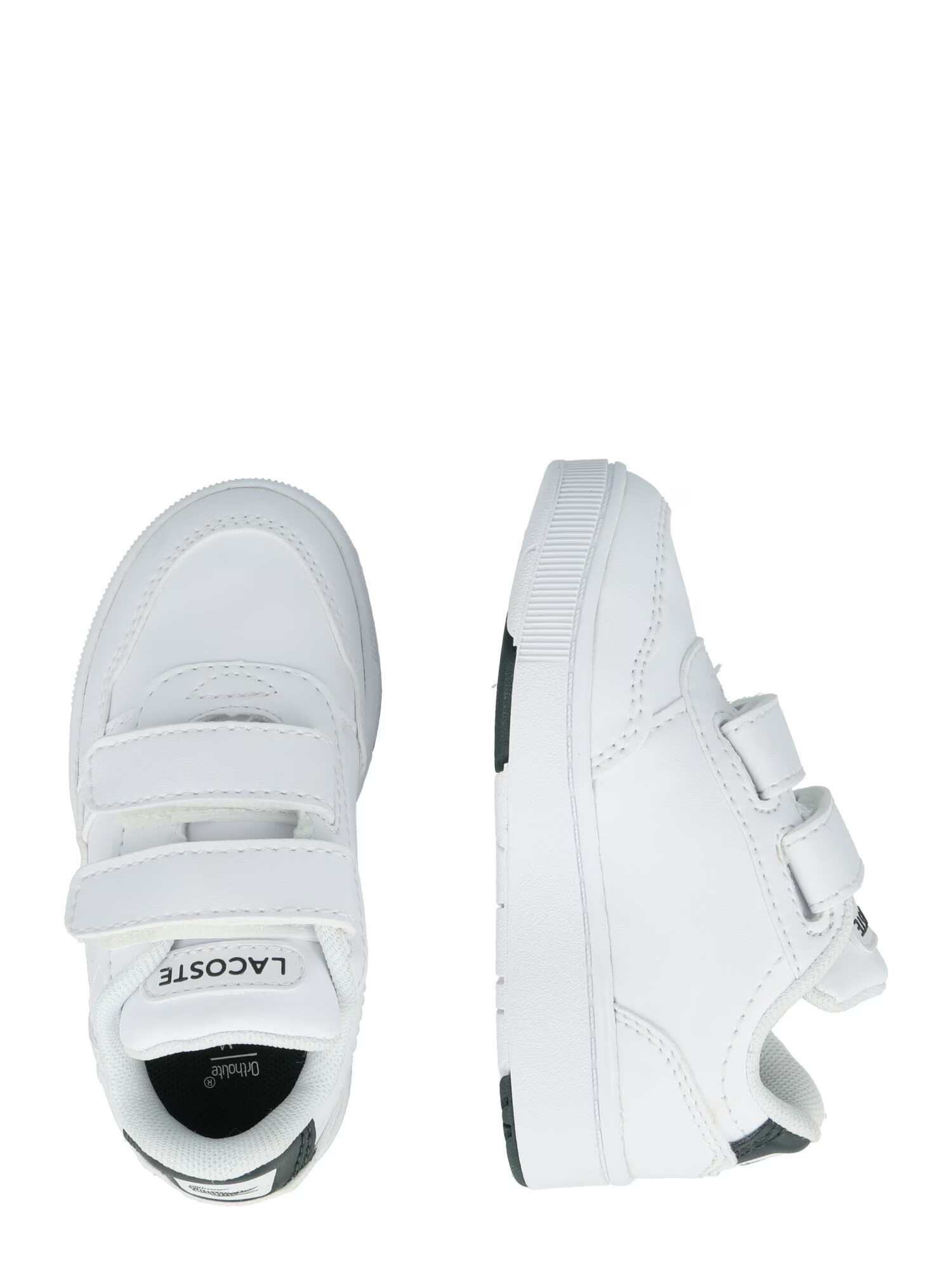 LACOSTE Sneaker verde smarald / roșu / alb - Pled.ro