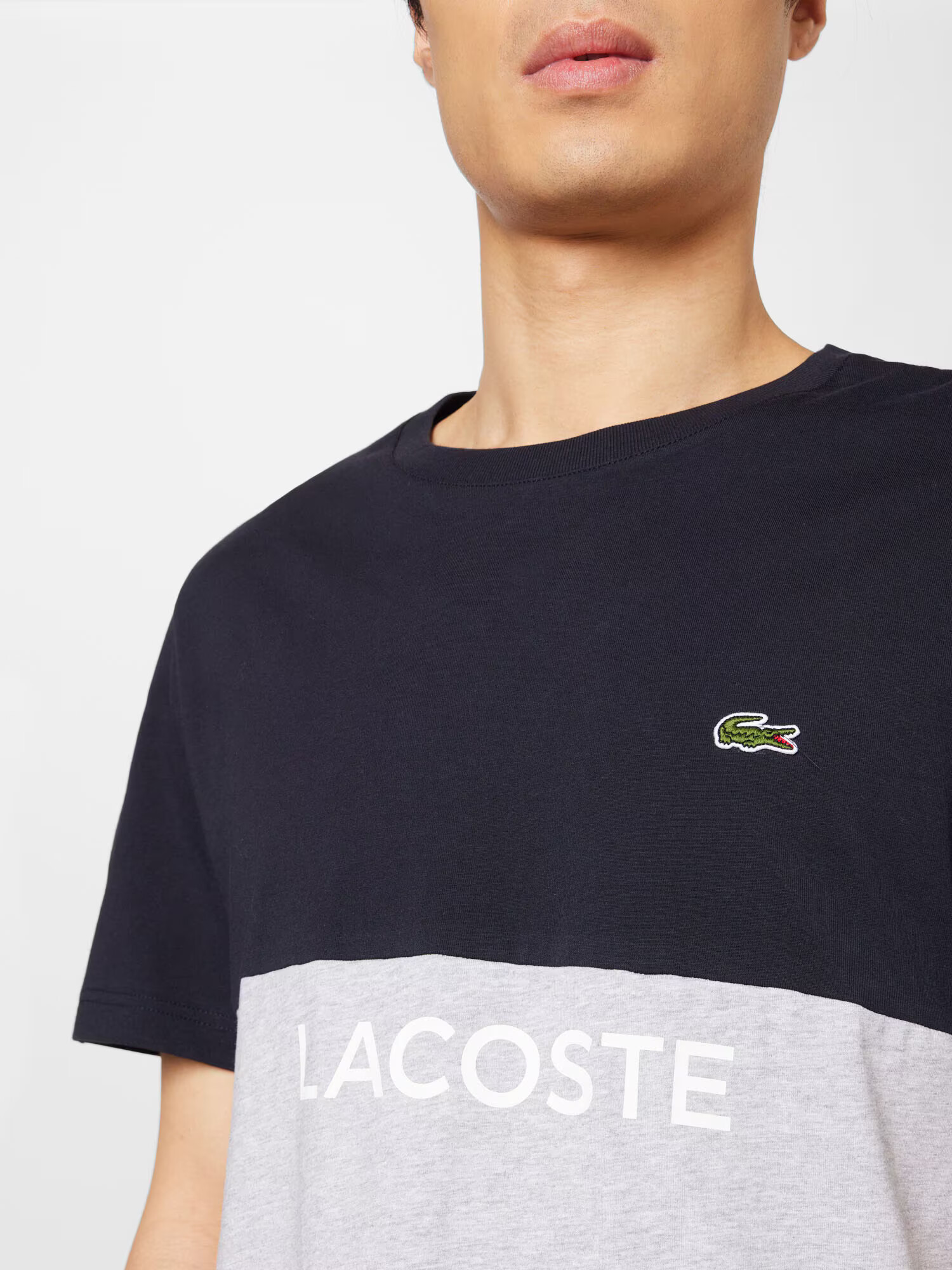 LACOSTE Tricou bleumarin / gri deschis / verde / alb - Pled.ro