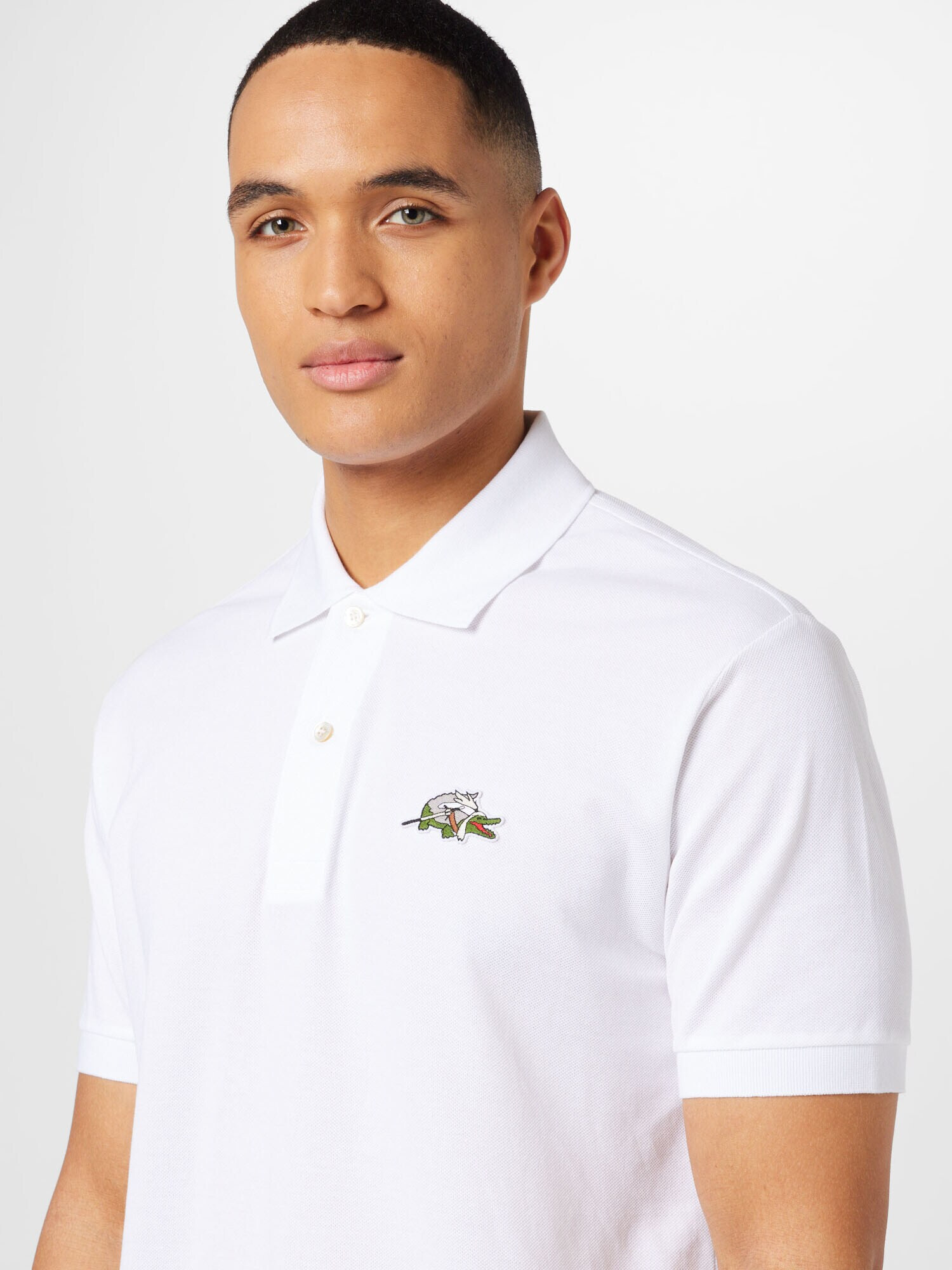 LACOSTE Tricou gri piatră / verde / roșu / alb - Pled.ro