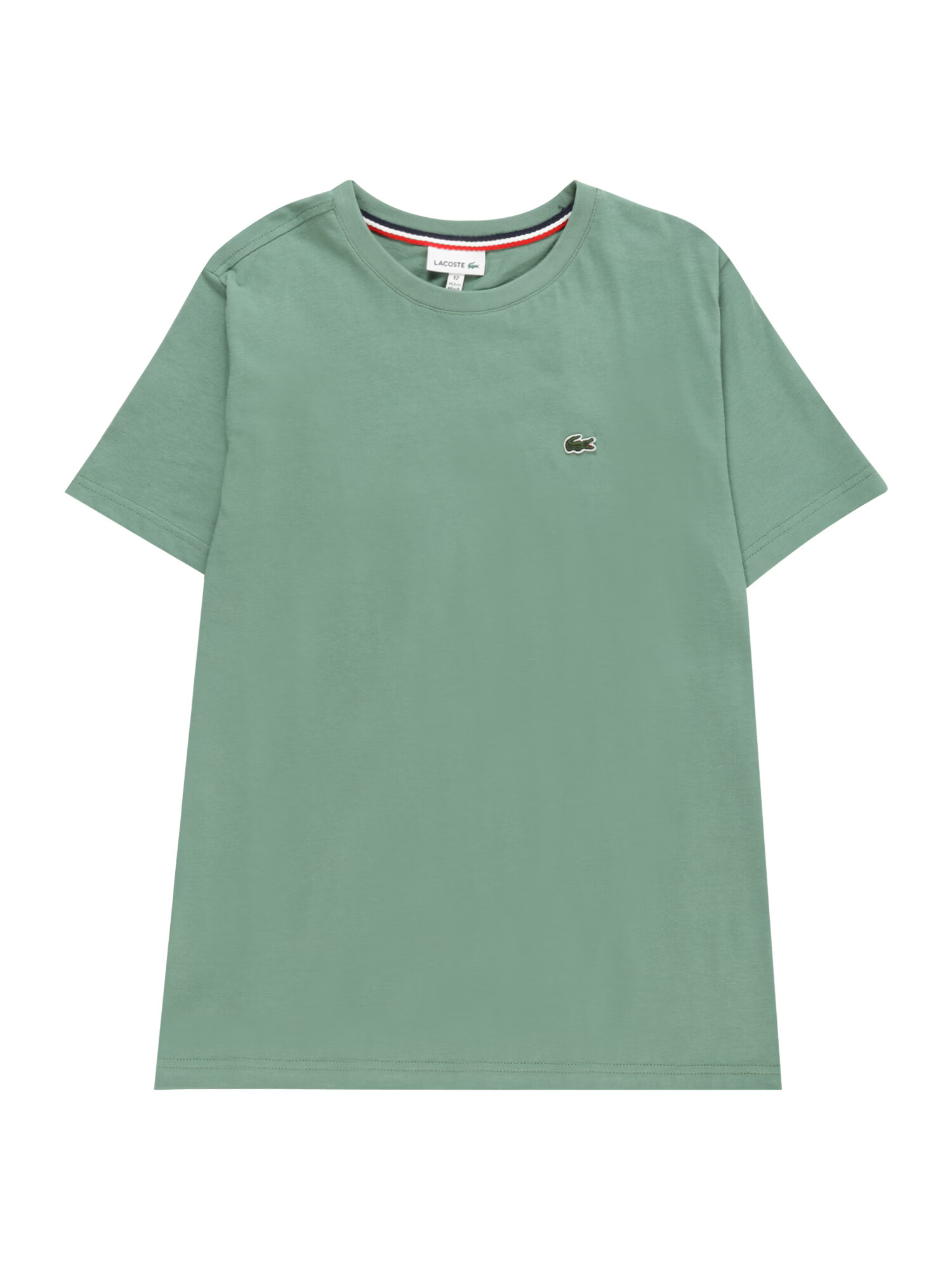 LACOSTE Tricou verde / verde mentă / roșu / alb - Pled.ro