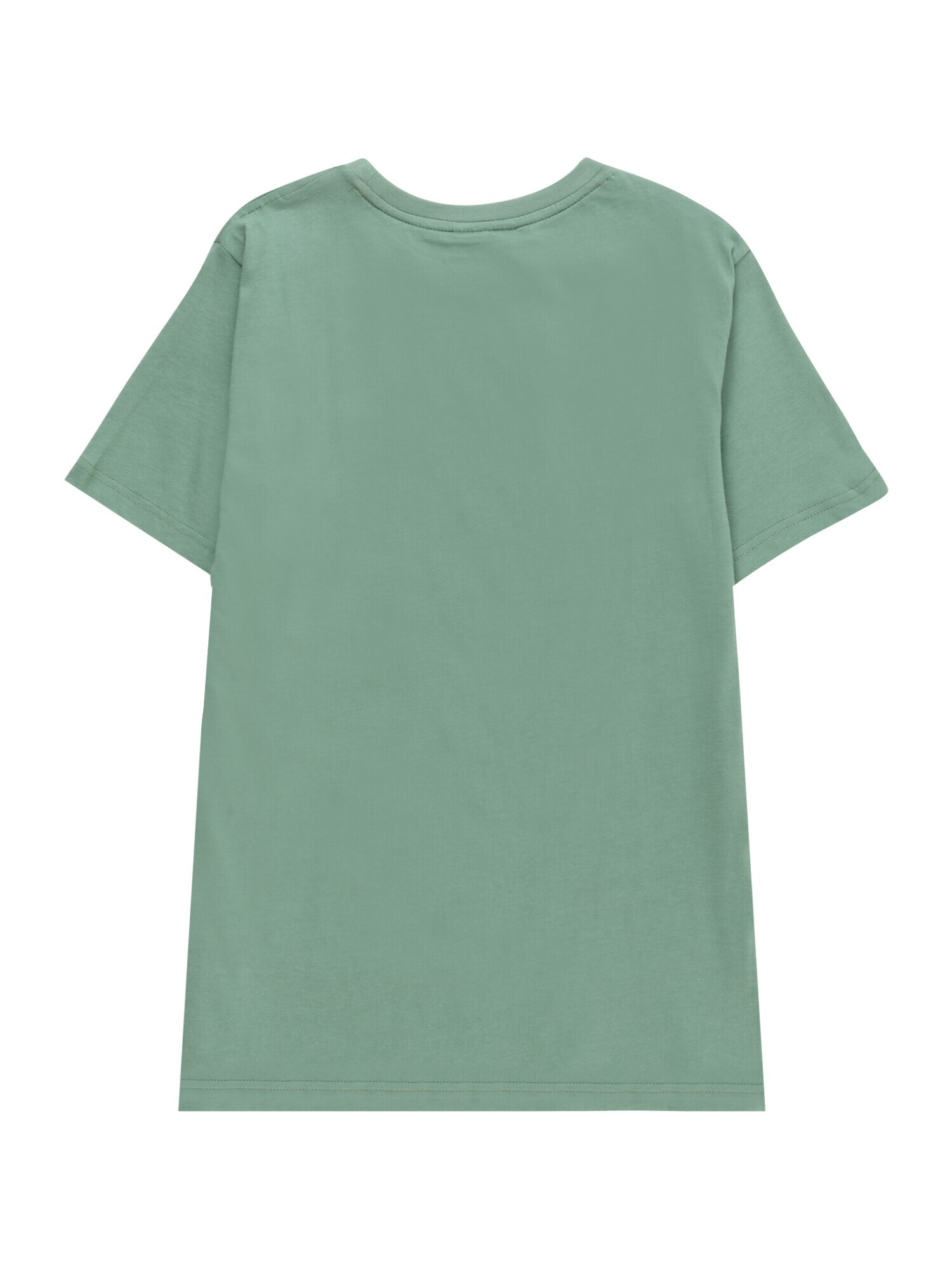 LACOSTE Tricou verde / verde mentă / roșu / alb - Pled.ro