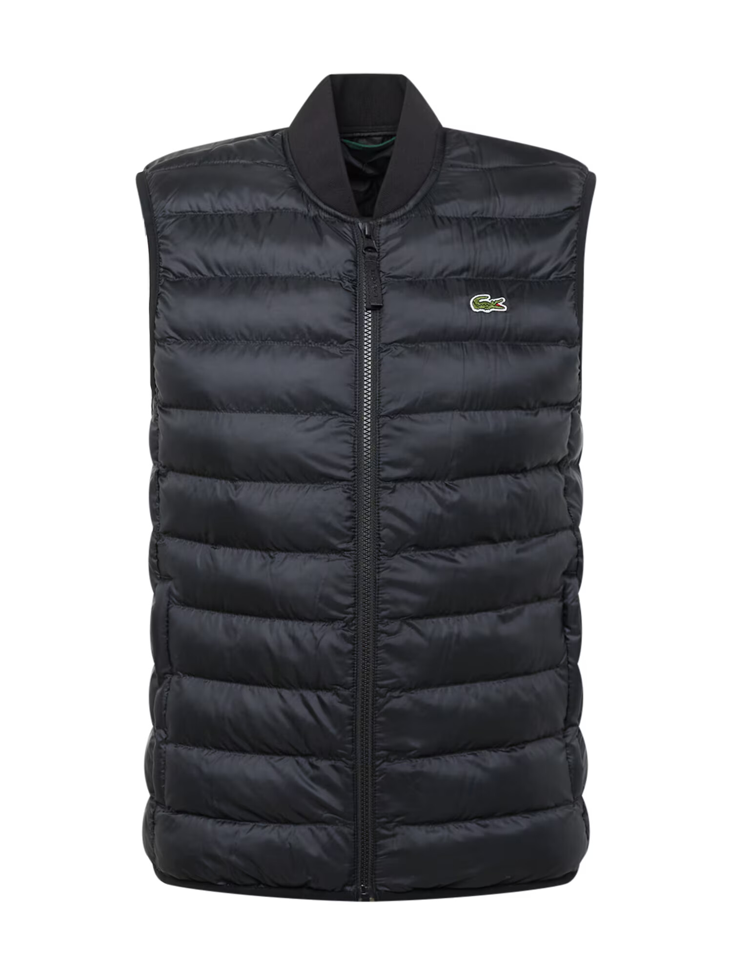 LACOSTE Vestă verde / negru / alb - Pled.ro