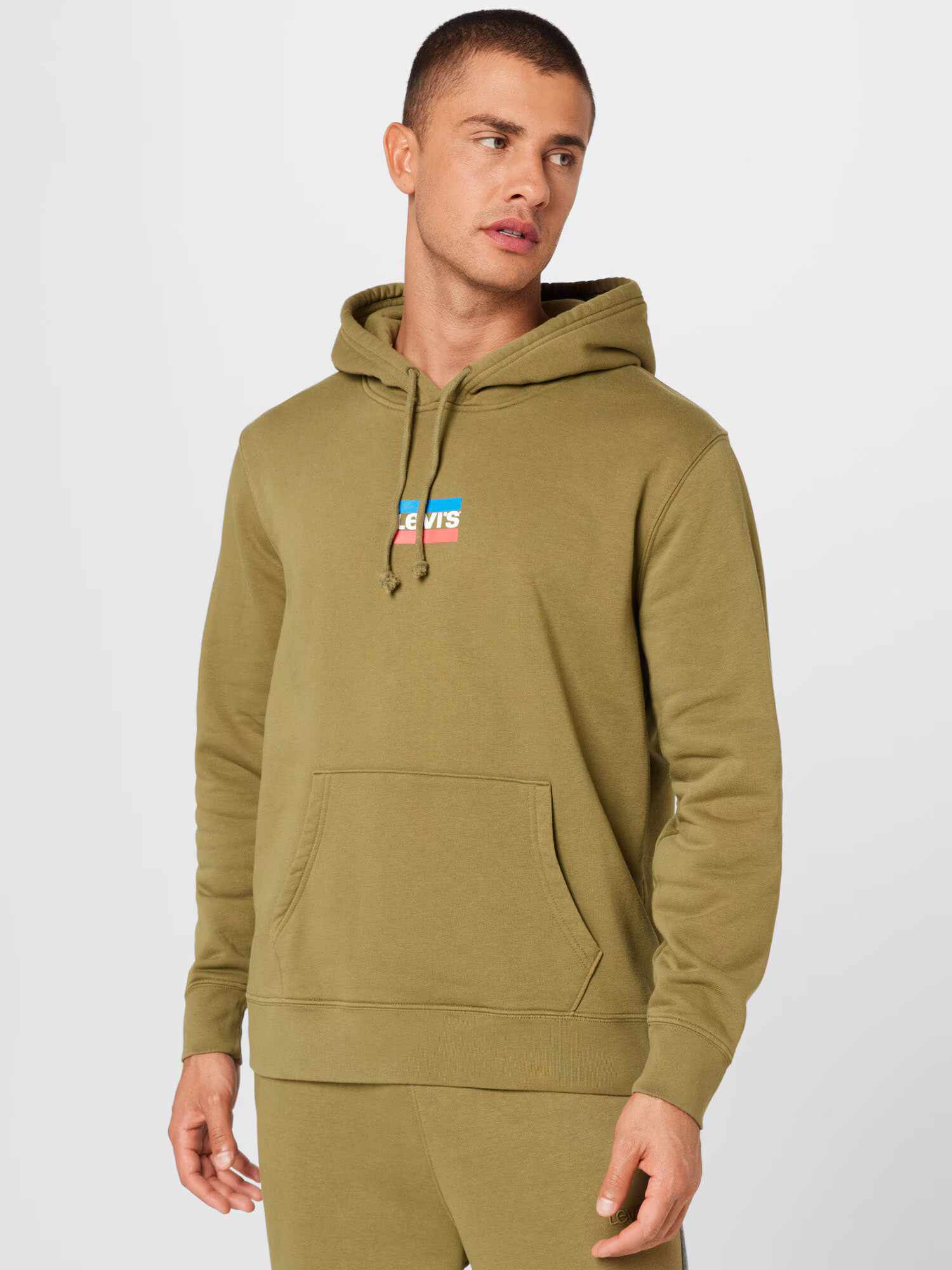 LEVI'S Bluză de molton 'STANDARD GRAPHIC HOODIE MULTI-COLOR' oliv - Pled.ro