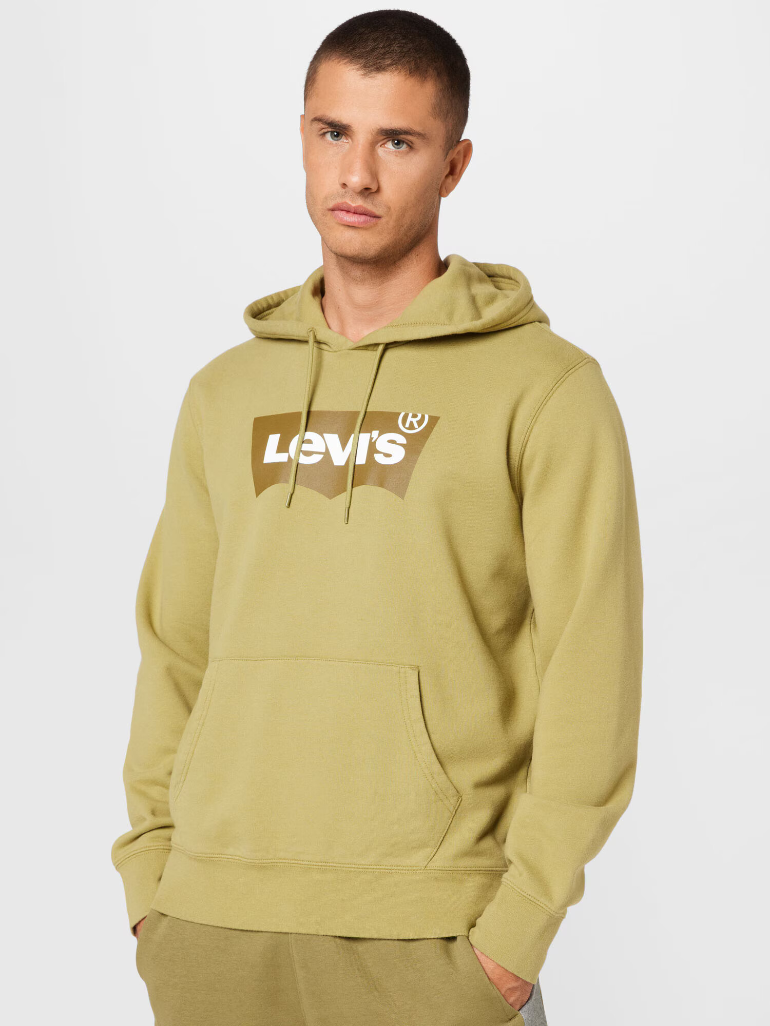 LEVI'S Bluză de molton 'STANDARD GRAPHIC HOODIE NEUTRALS' oliv / verde stuf / alb - Pled.ro