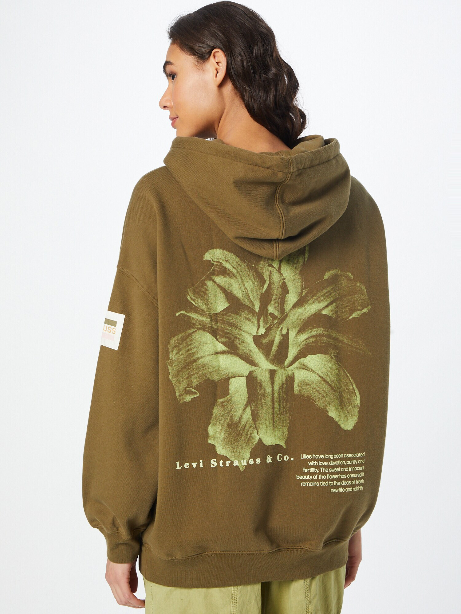 LEVI'S Bluză de molton 'GRAPHIC ORON HOODIE GREENS' oliv / verde deschis - Pled.ro