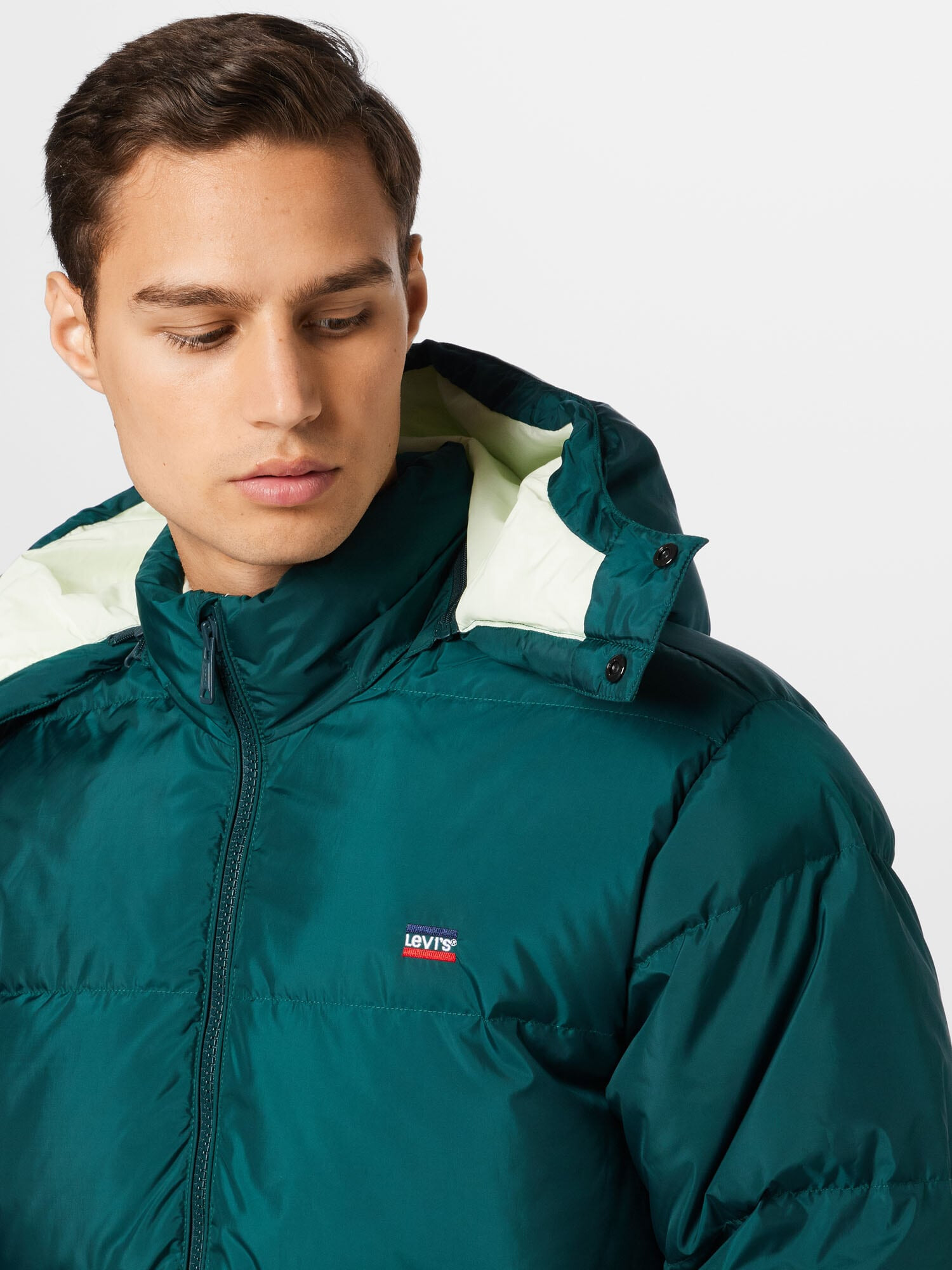 LEVI'S Geacă de iarnă 'Fillmore' verde smarald / verde deschis - Pled.ro