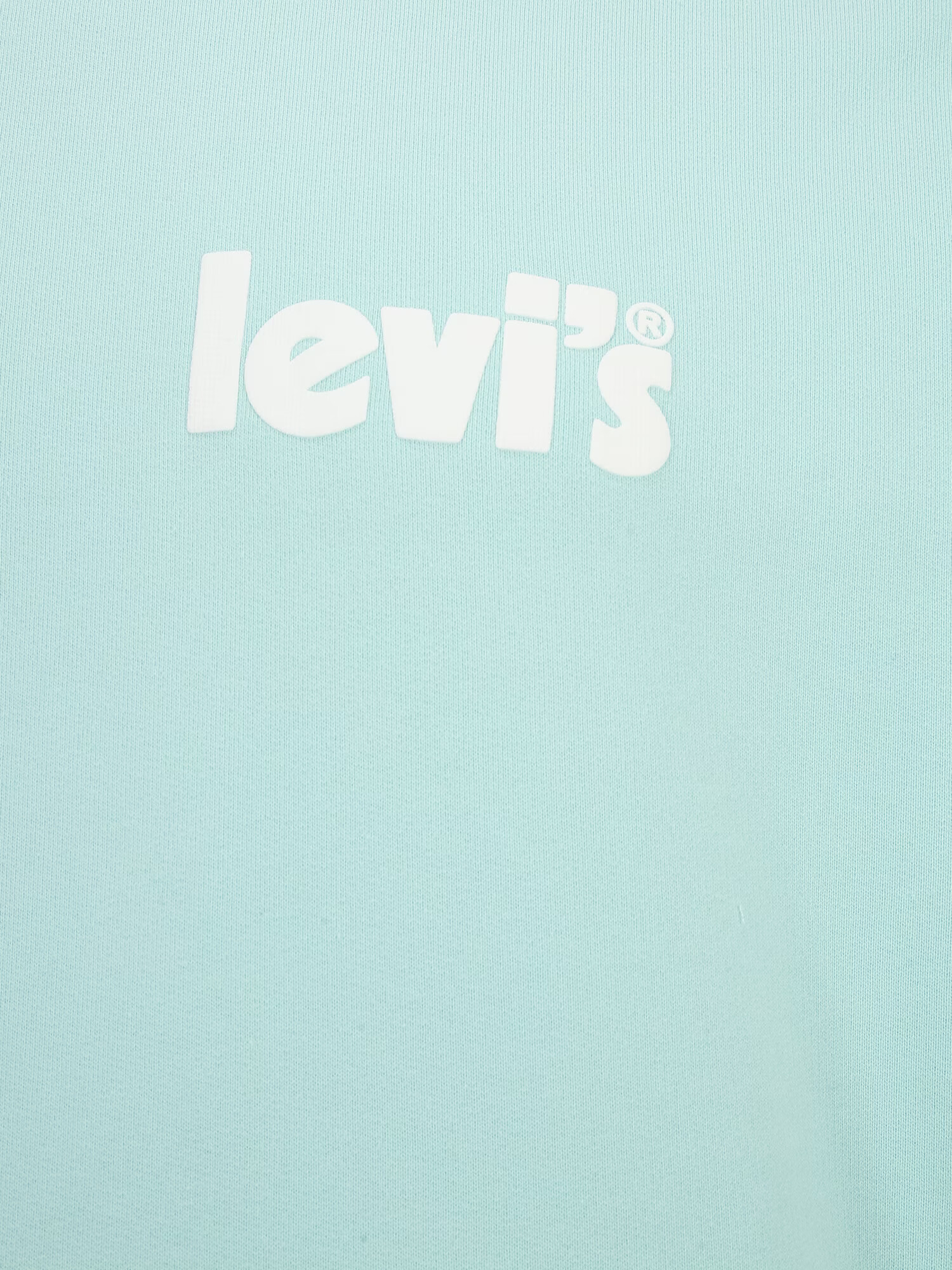 Levi's® Big & Tall Bluză de molton turcoaz / alb - Pled.ro