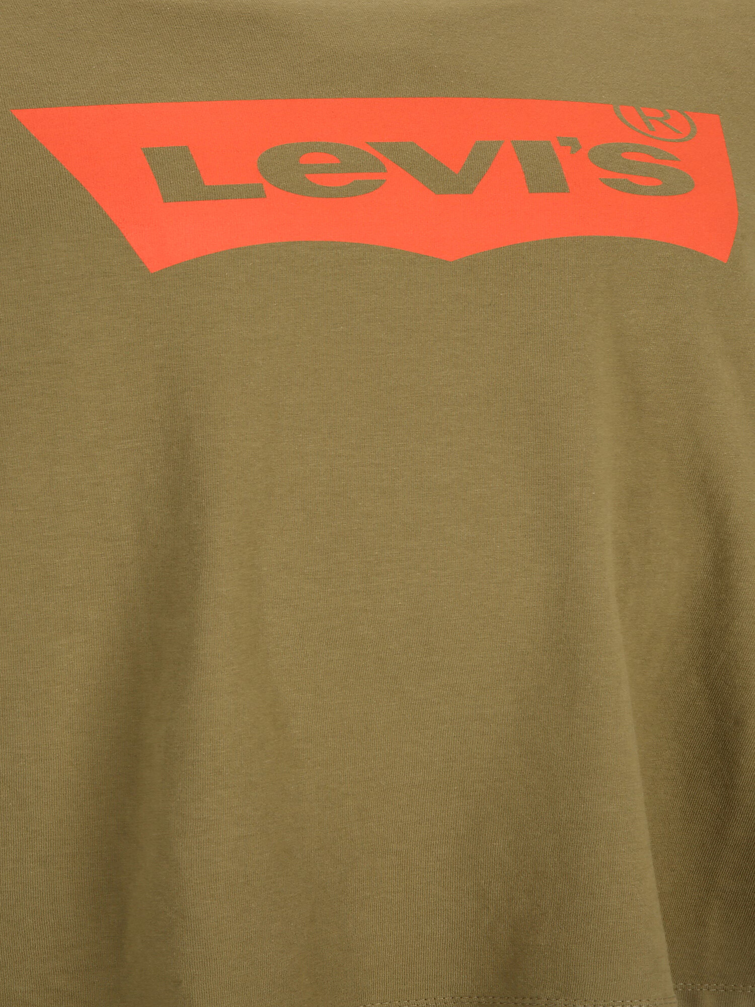 Levi's® Big & Tall Tricou 'B&T BIG GRAPHIC TEE GREENS' oliv / portocaliu închis - Pled.ro