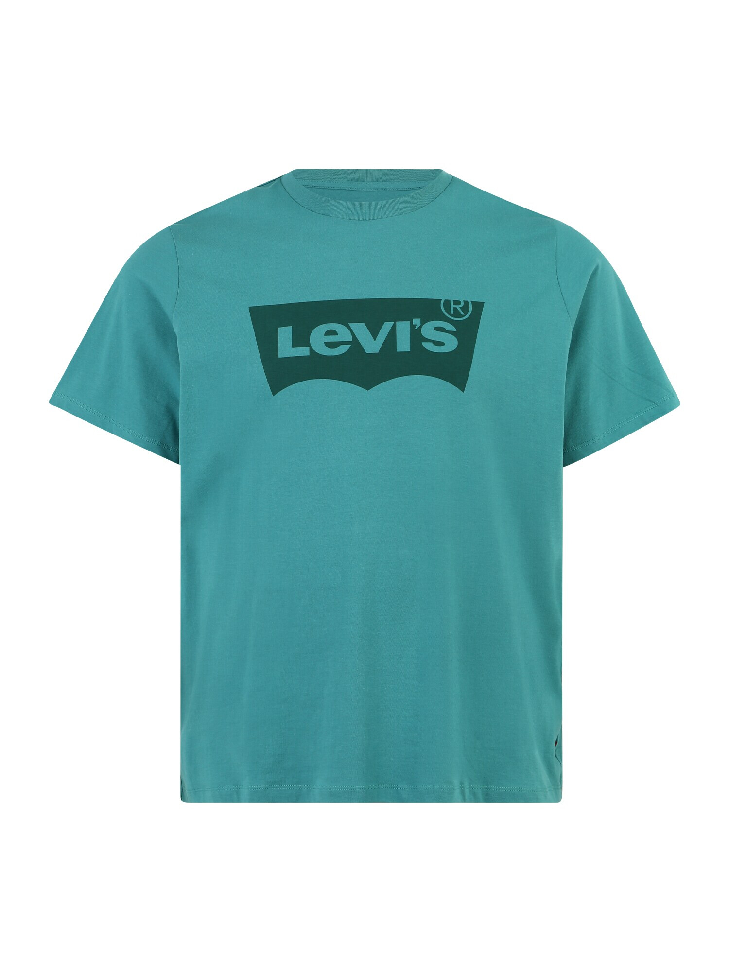 Levi's® Big & Tall Tricou verde jad / verde pin - Pled.ro