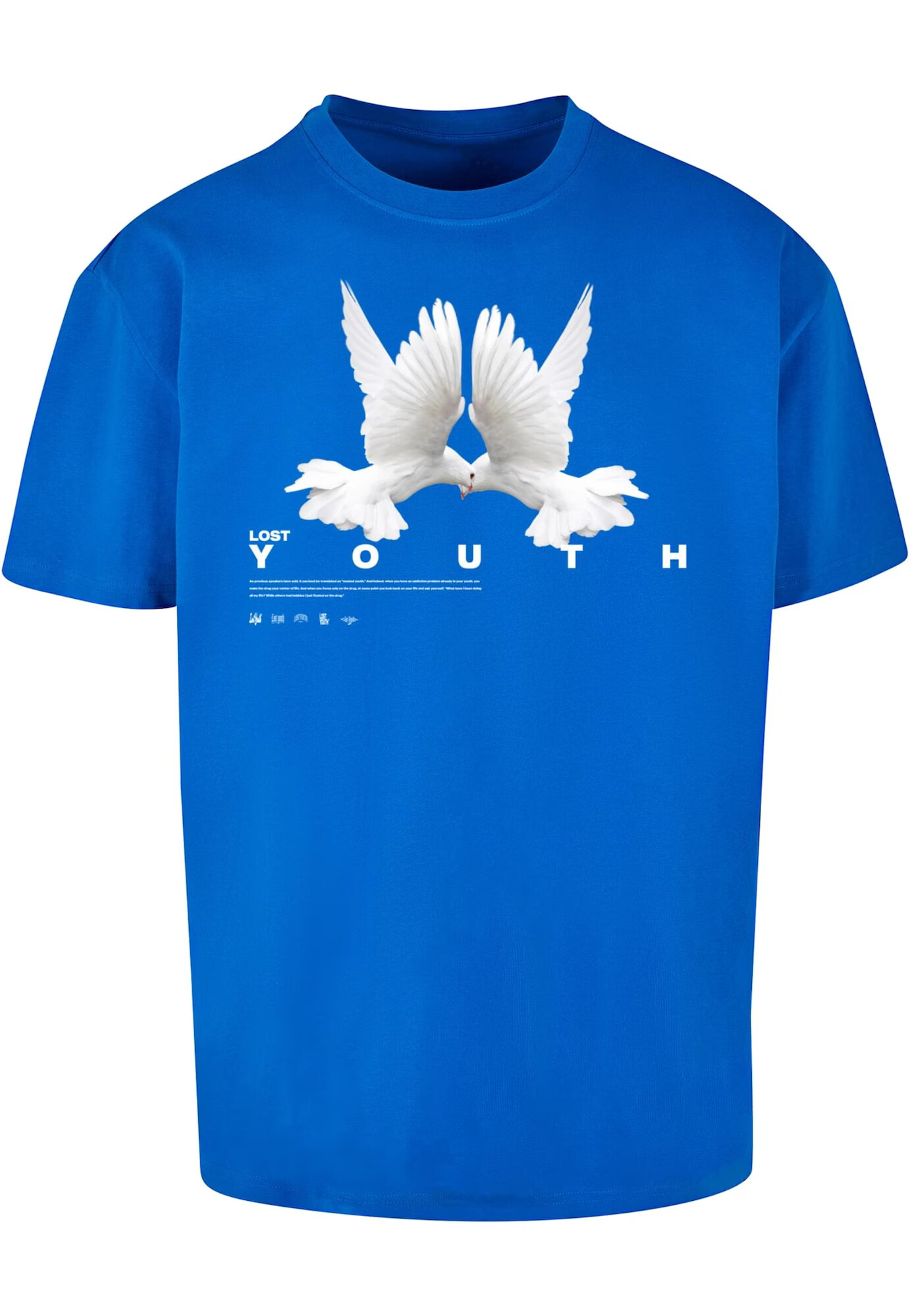 Lost Youth Tricou 'Dove' albastru regal / gri / alb - Pled.ro