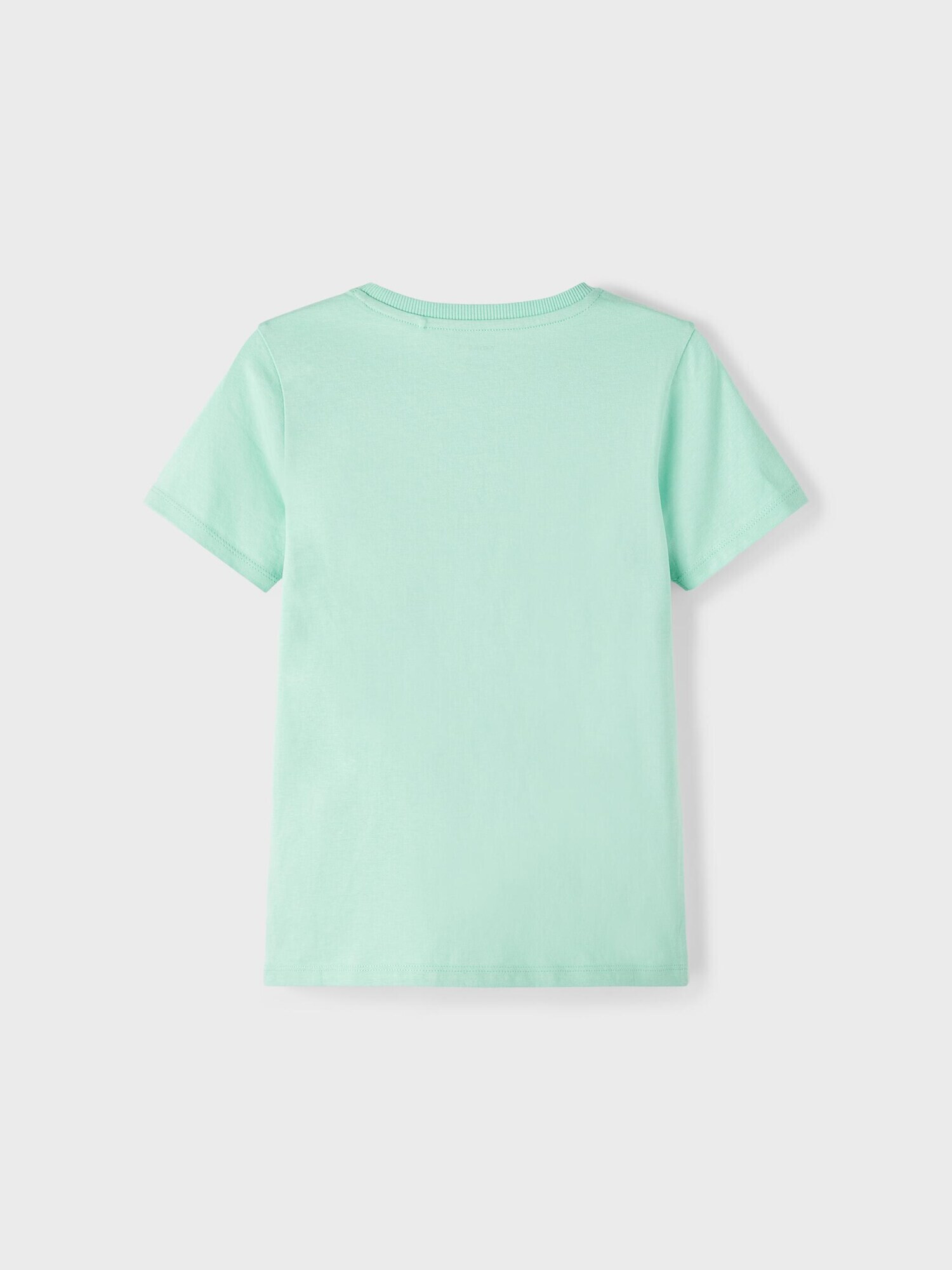 NAME IT Tricou 'FALKE' verde / verde mentă / negru - Pled.ro