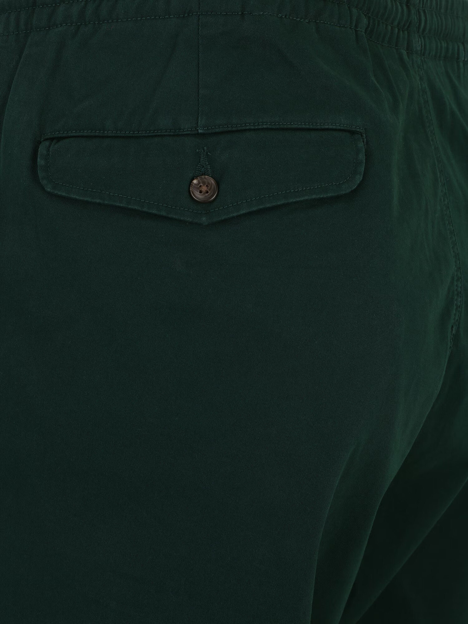 Polo Ralph Lauren Big & Tall Pantaloni verde închis - Pled.ro