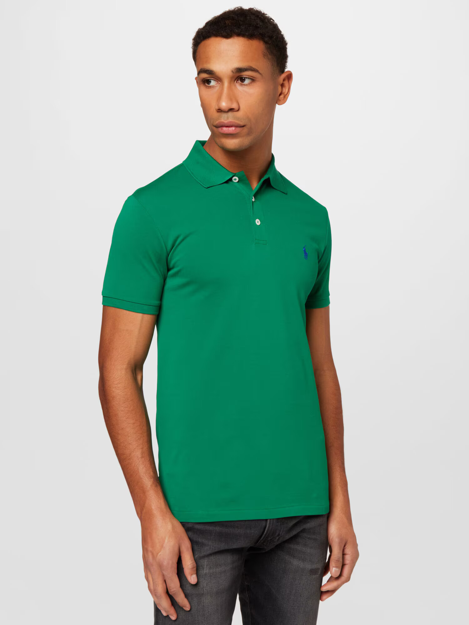 Polo Ralph Lauren Tricou albastru amestec / verde - Pled.ro