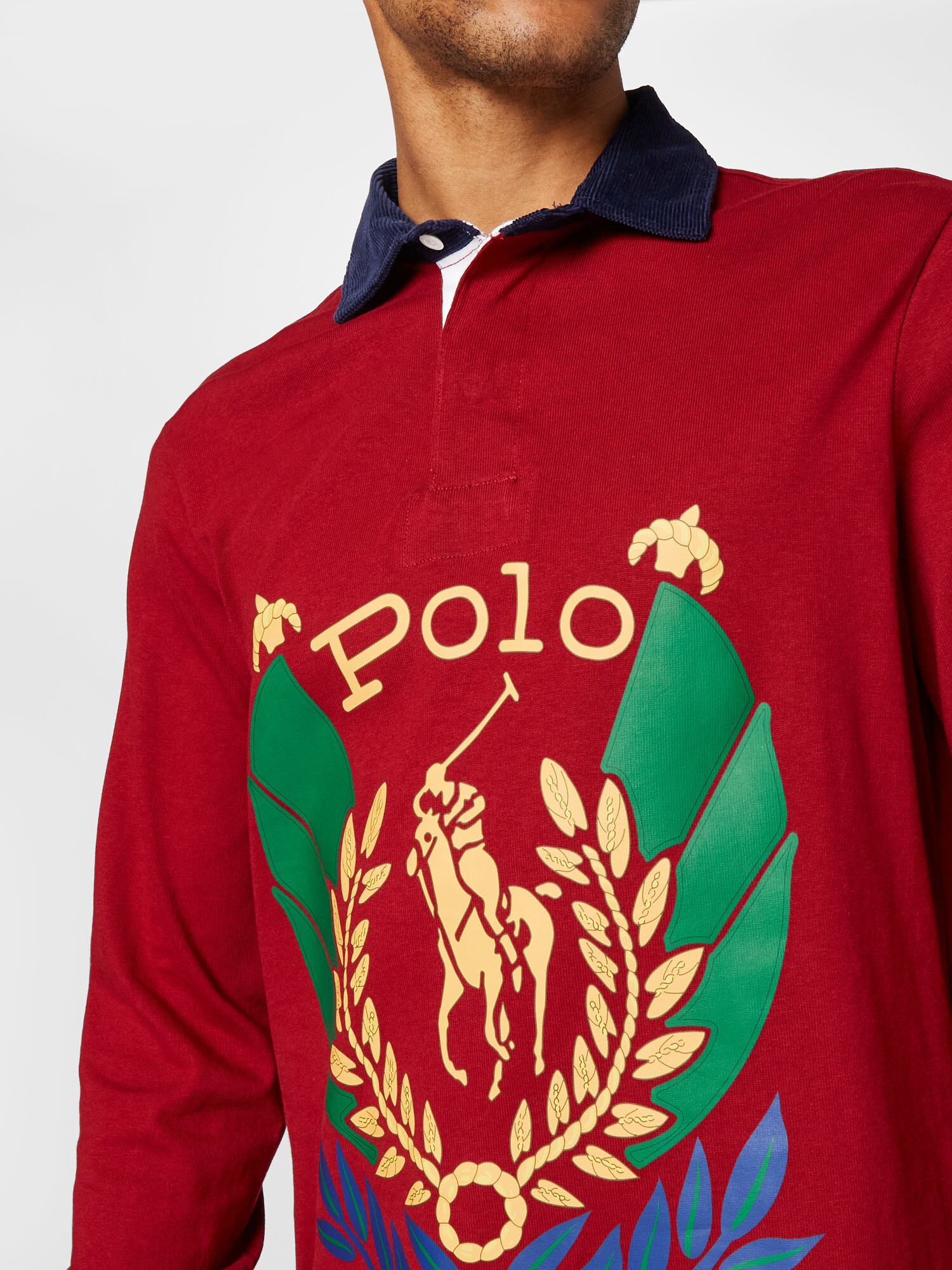 Polo Ralph Lauren Tricou nisipiu / albastru / verde / roșu - Pled.ro