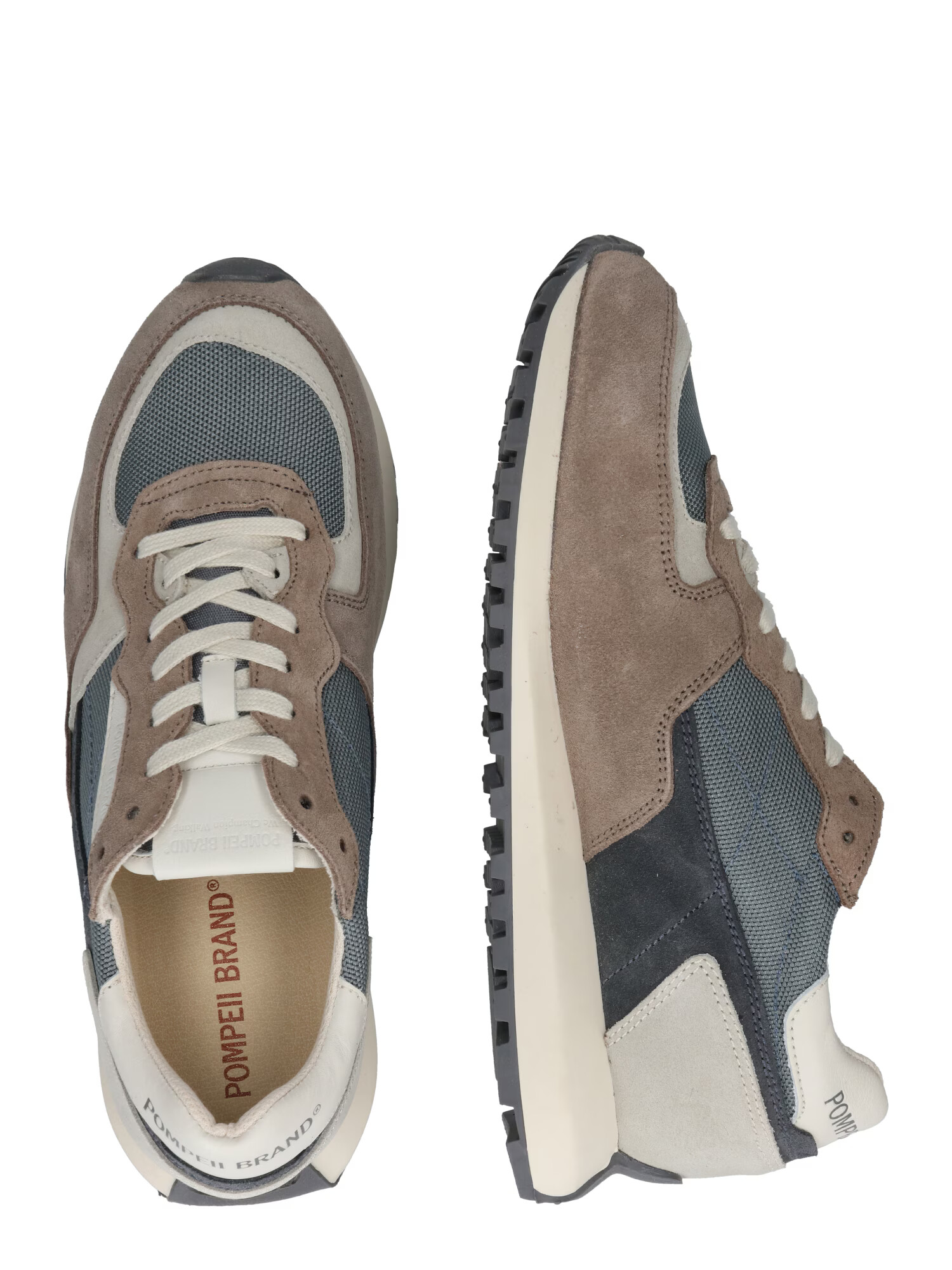 POMPEII Sneaker low 'MISTRAL' bej / gri / gri taupe - Pled.ro