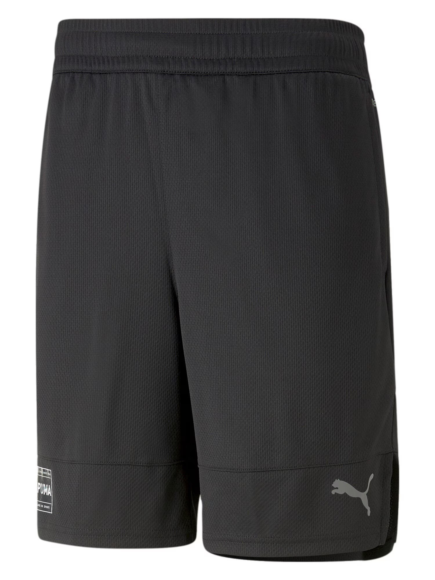 PUMA Pantaloni sport gri deschis / negru - Pled.ro