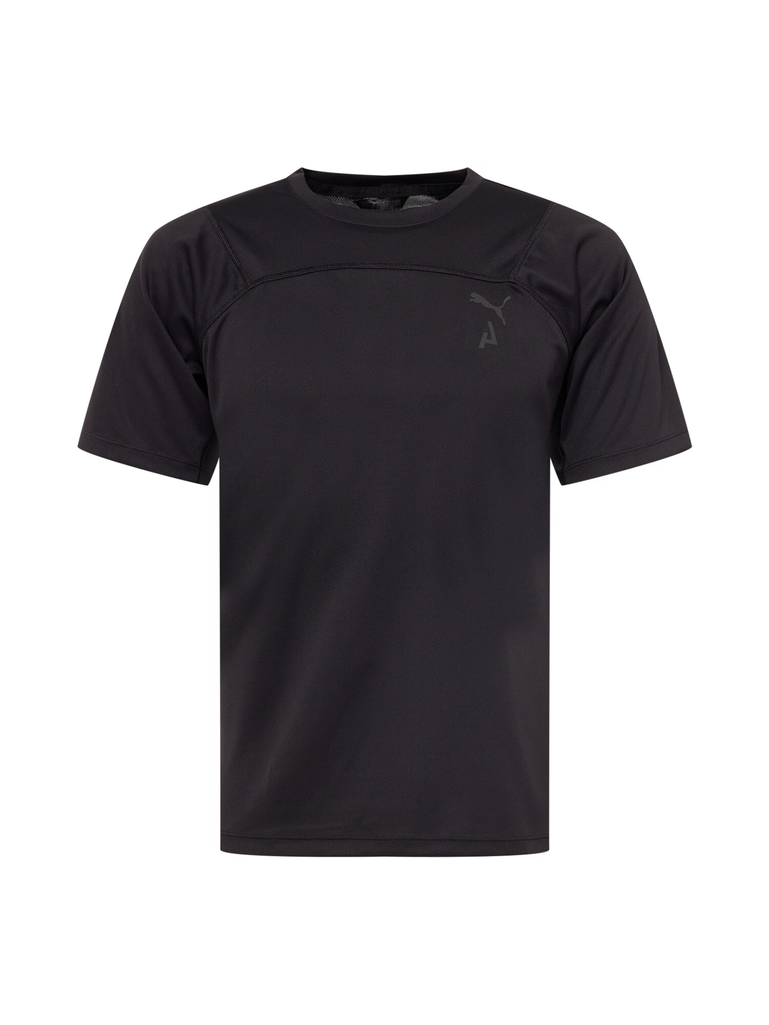 PUMA Tricou funcțional 'SEASONS' gri / negru - Pled.ro