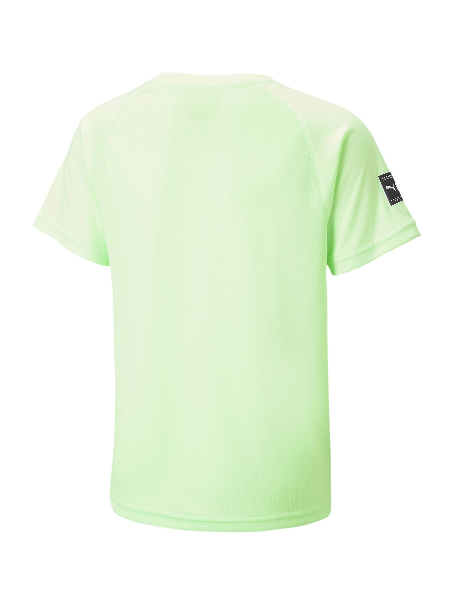 PUMA Tricou funcțional verde deschis / negru / alb - Pled.ro