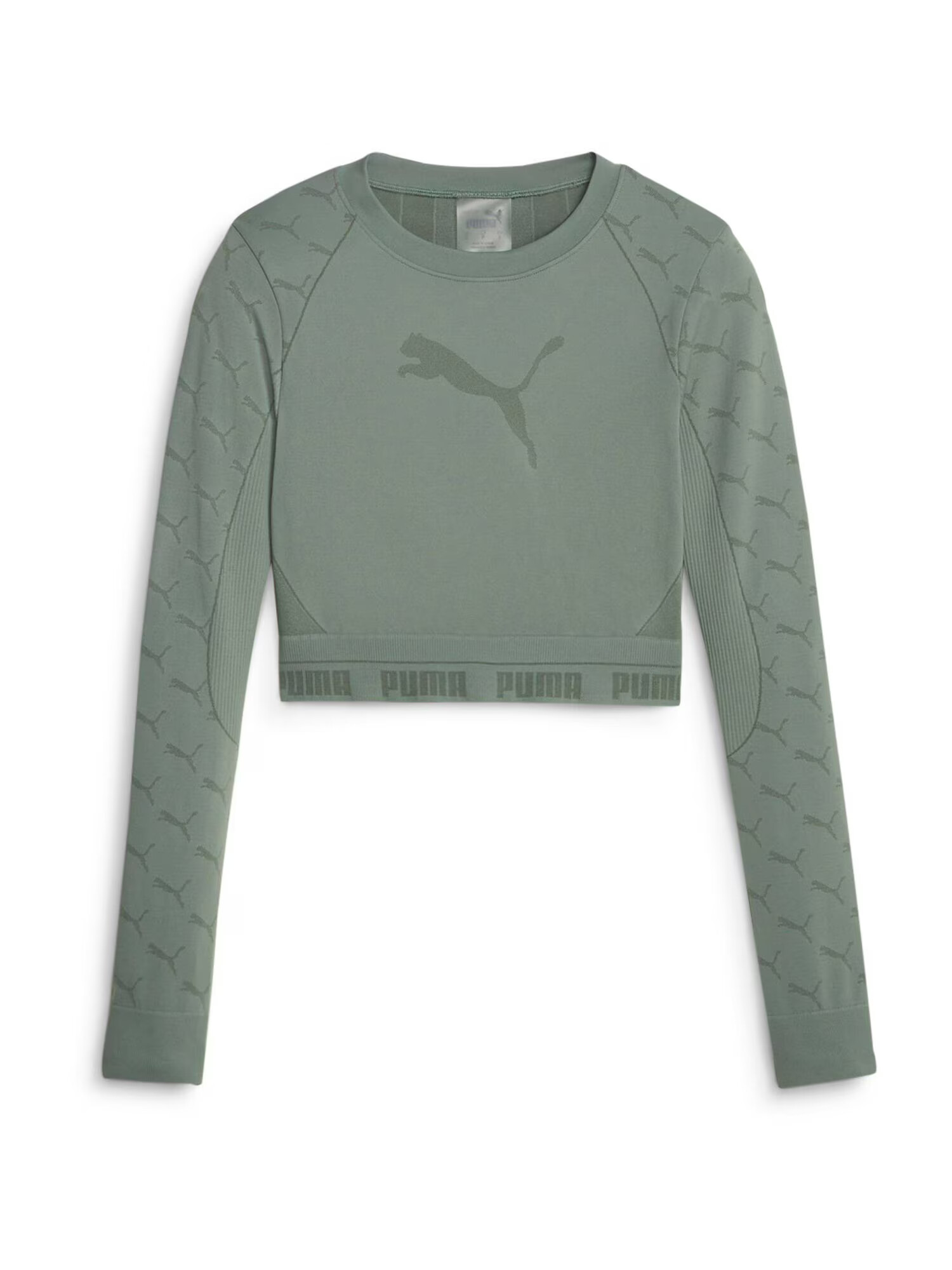 PUMA Tricou funcțional verde pastel / verde închis - Pled.ro