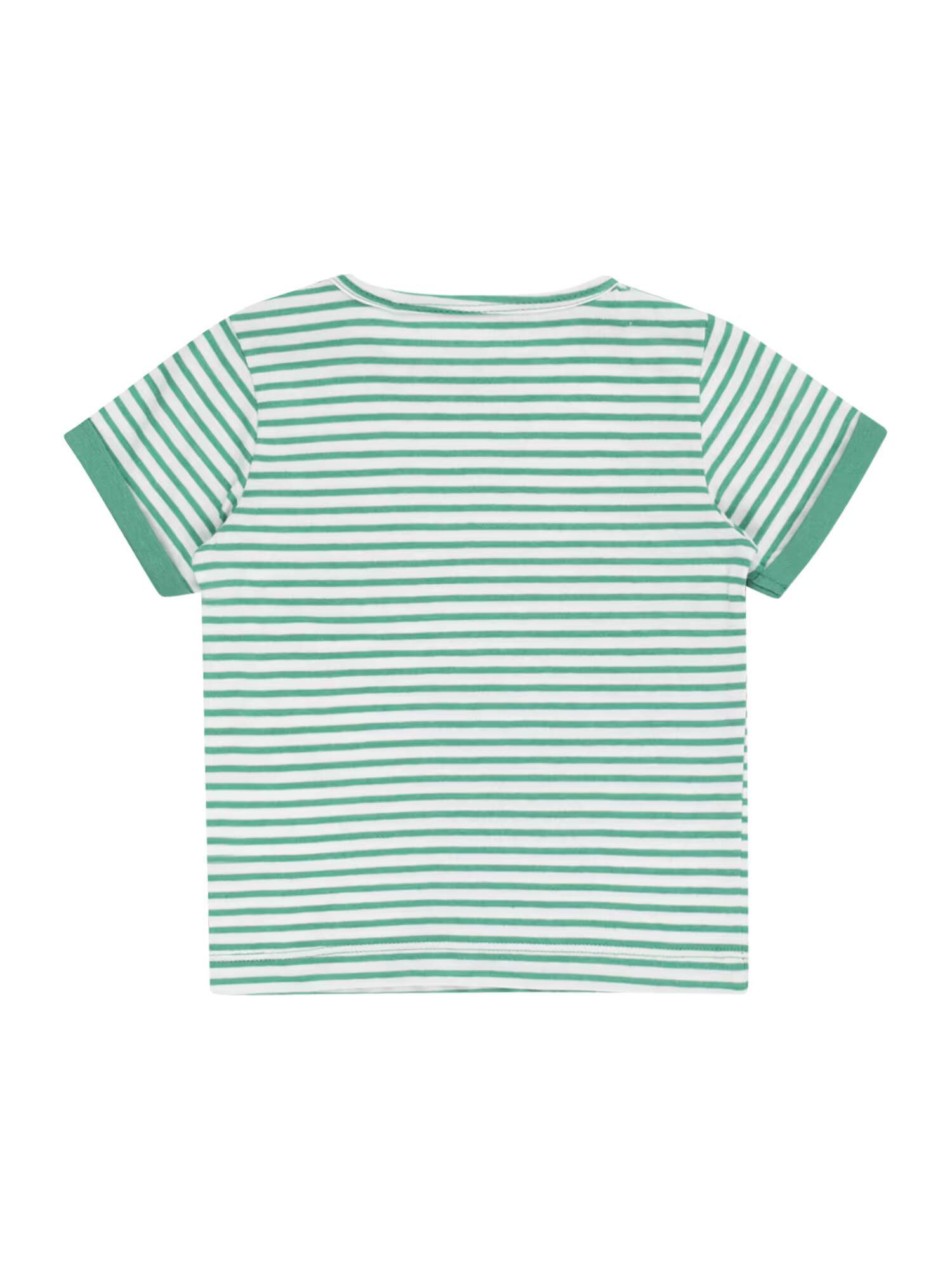 STACCATO Tricou verde / alb - Pled.ro