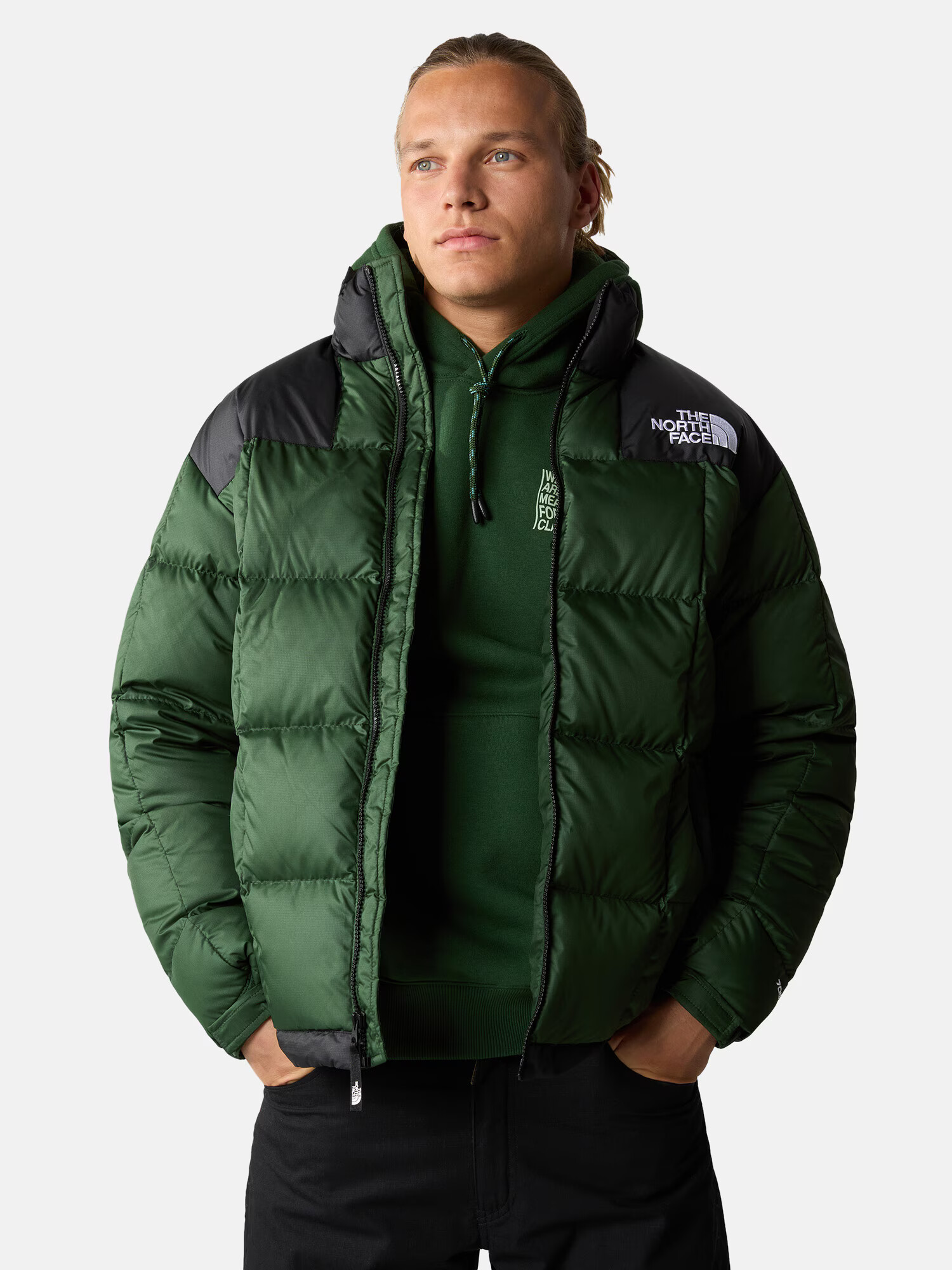 THE NORTH FACE Geacă de iarnă '6490' verde / negru / alb - Pled.ro