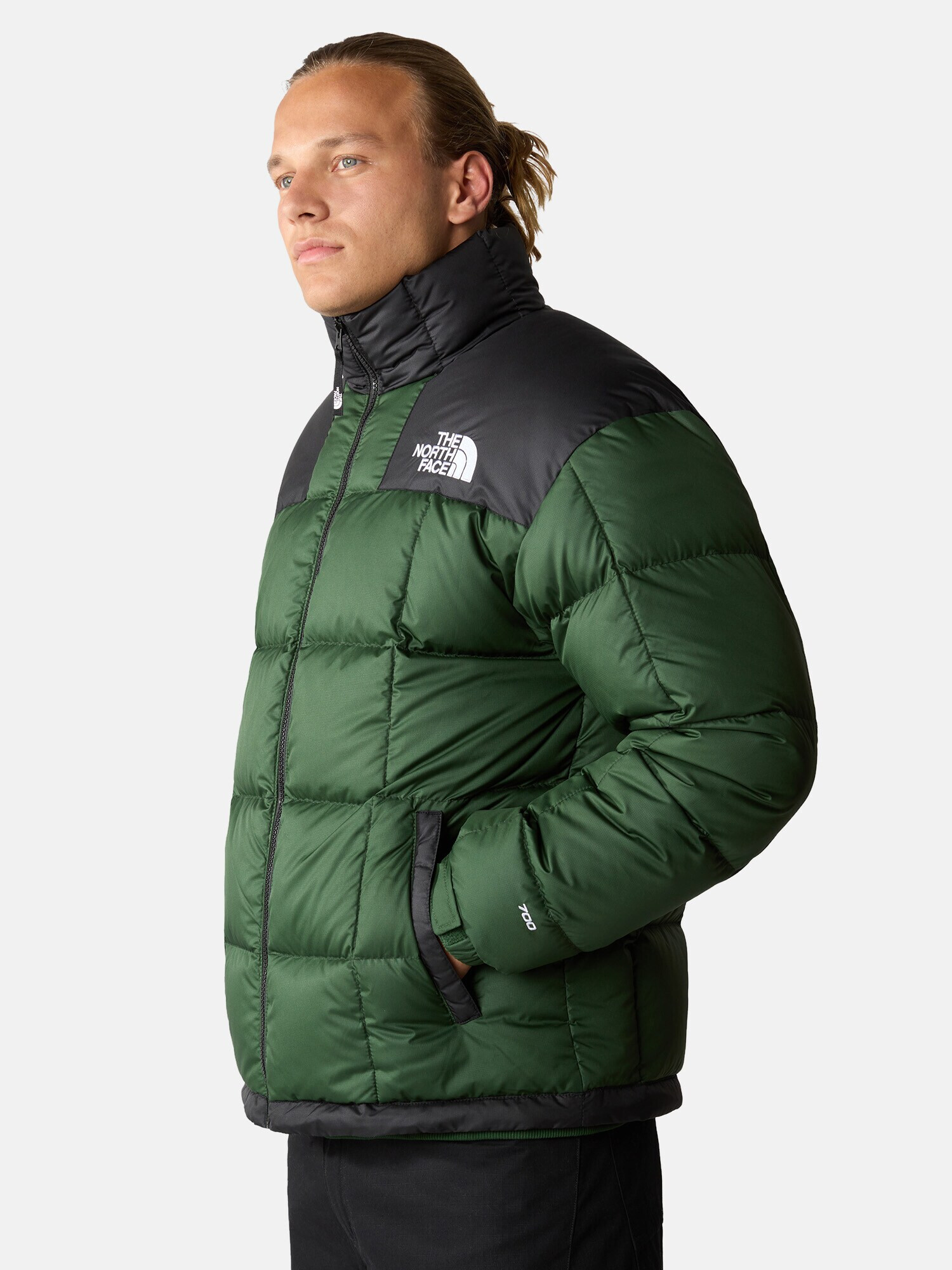 THE NORTH FACE Geacă de iarnă '6490' verde / negru / alb - Pled.ro