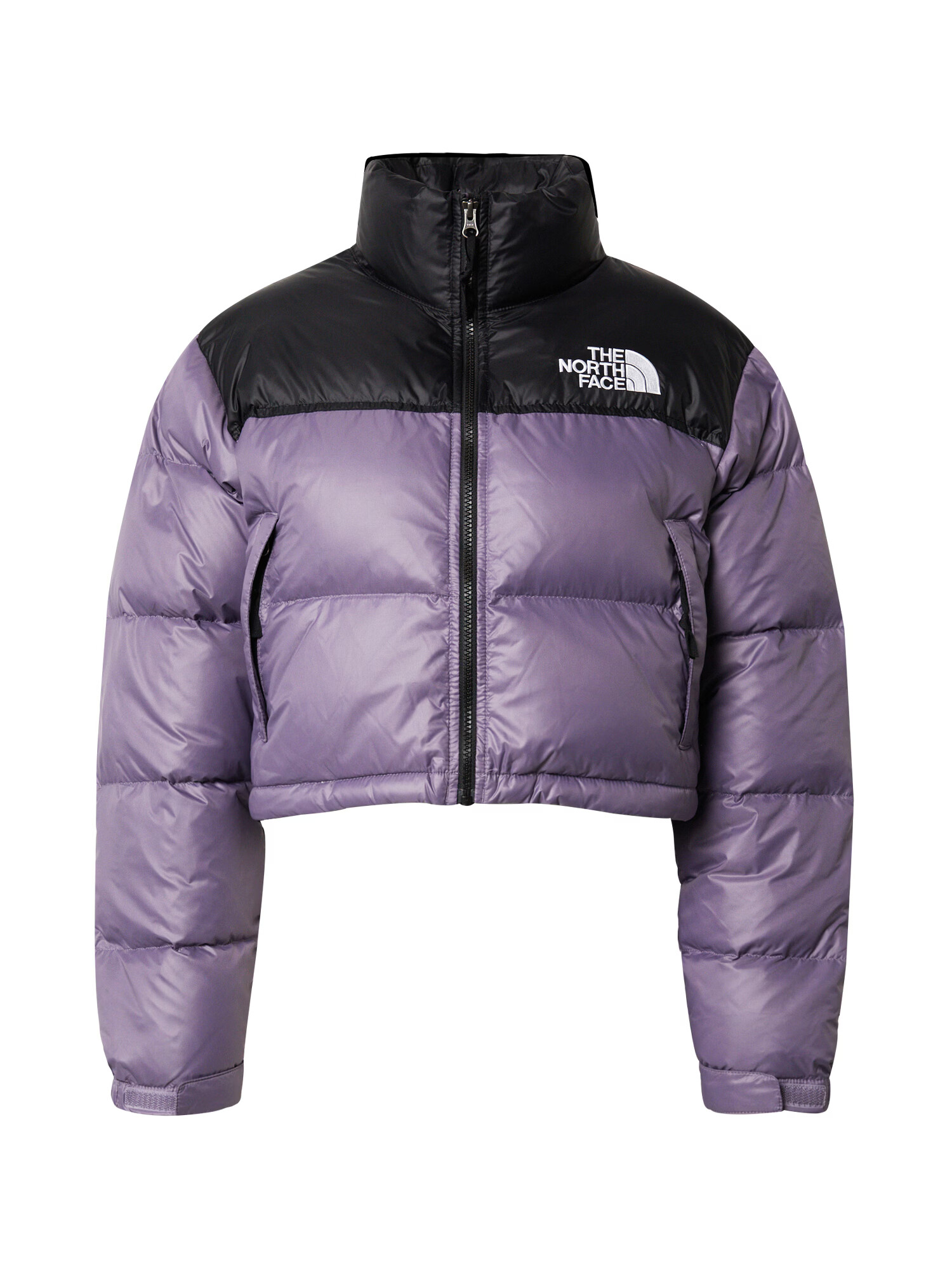 THE NORTH FACE Geacă de iarnă 'NUPTSE' lila / negru - Pled.ro