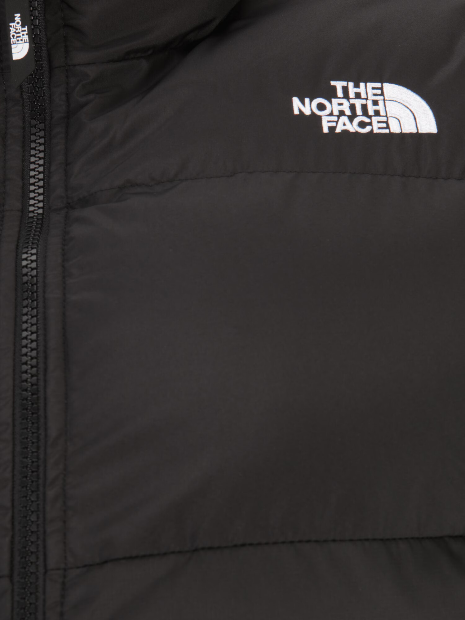 THE NORTH FACE Geacă de primăvară-toamnă 'SAIKURU' negru / alb - Pled.ro