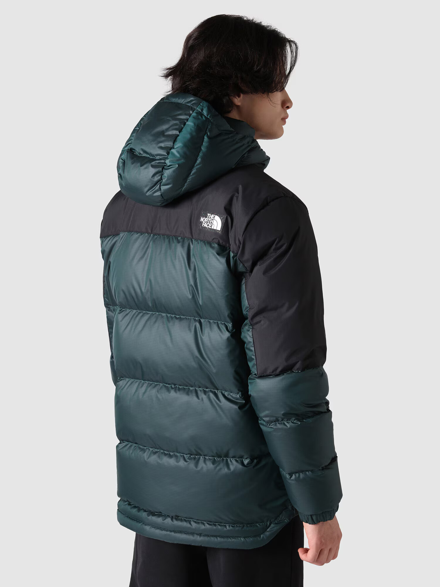 THE NORTH FACE Geacă outdoor 'DIABLO' verde pin / negru / alb - Pled.ro