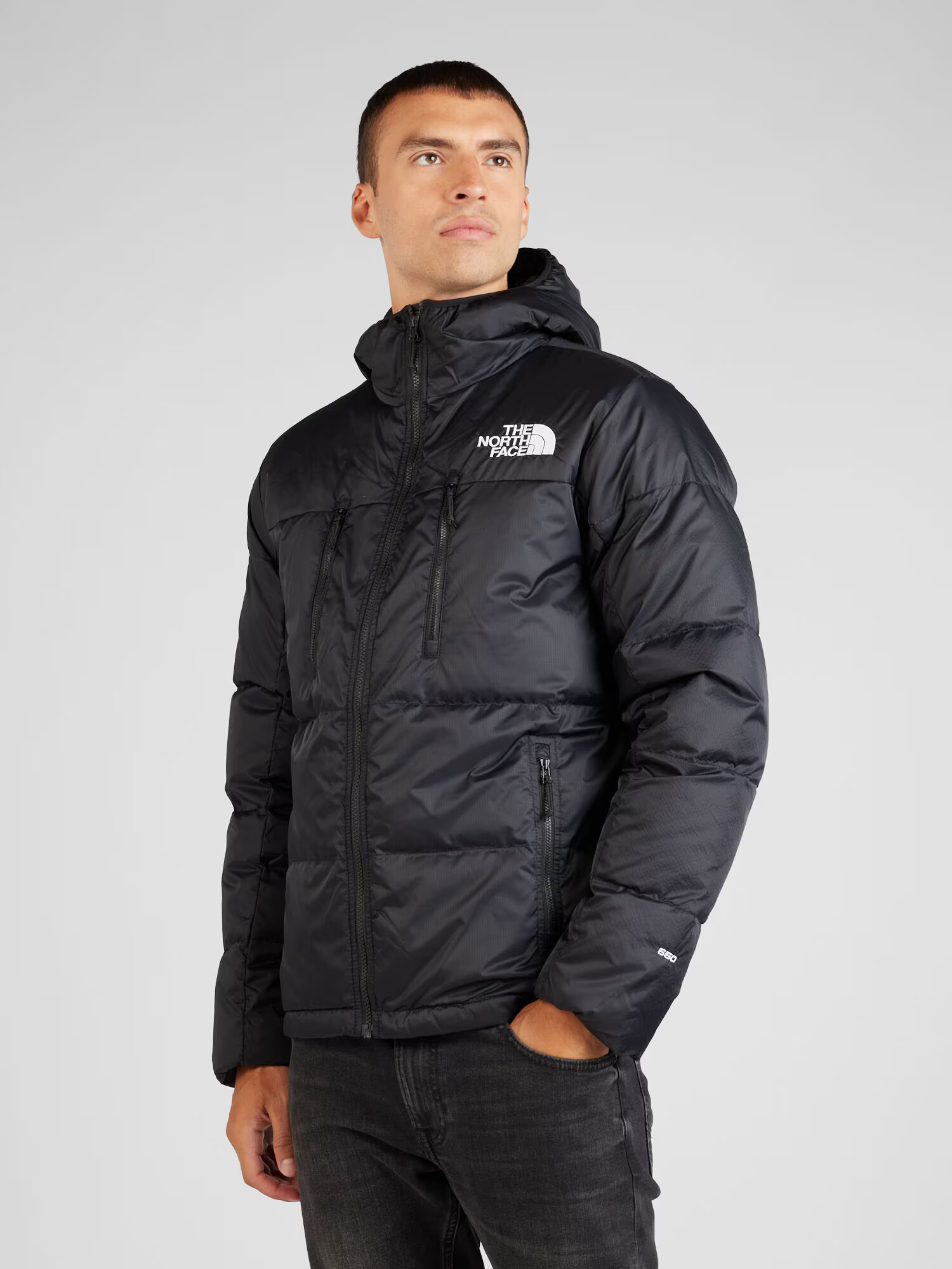 THE NORTH FACE Geacă outdoor 'HIMALAYAN' negru / alb - Pled.ro