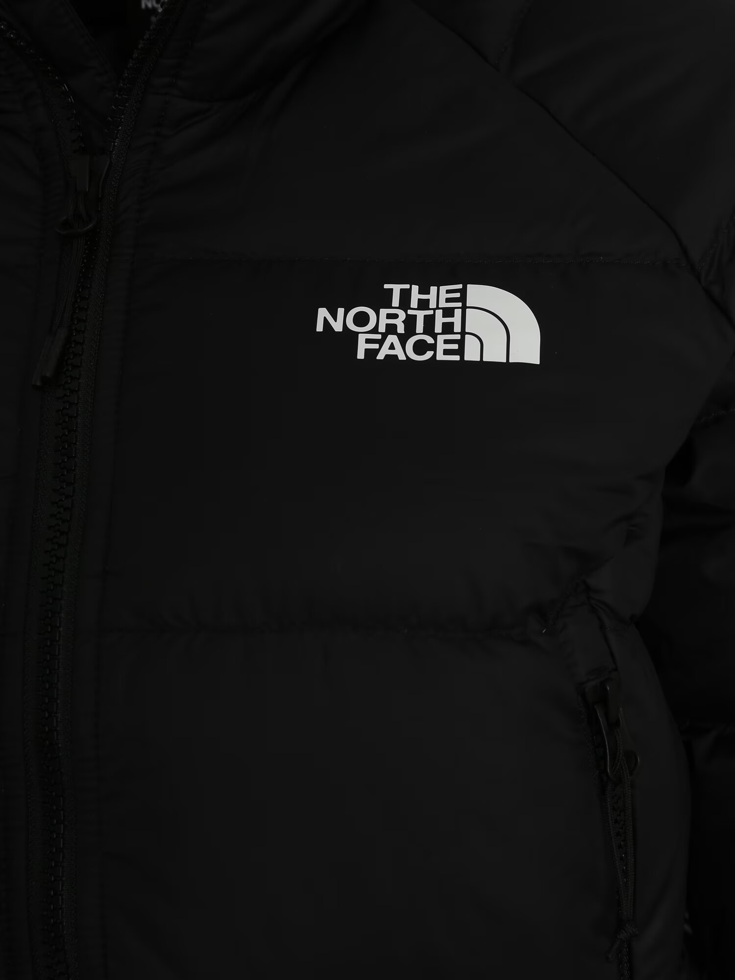 THE NORTH FACE Geacă outdoor 'Hyalite' negru / alb - Pled.ro