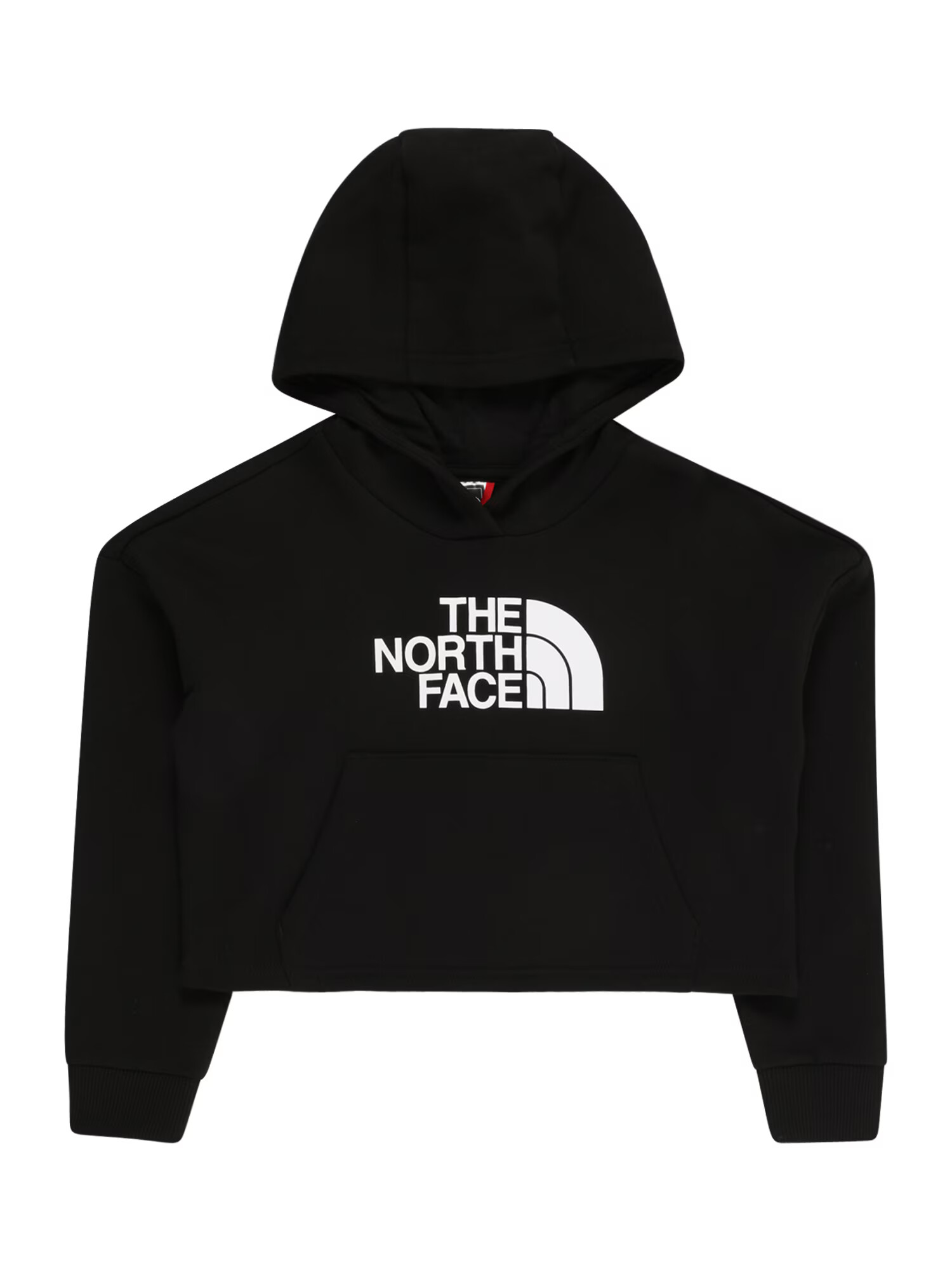 THE NORTH FACE Hanorac sport 'DREW PEAK' negru / alb - Pled.ro