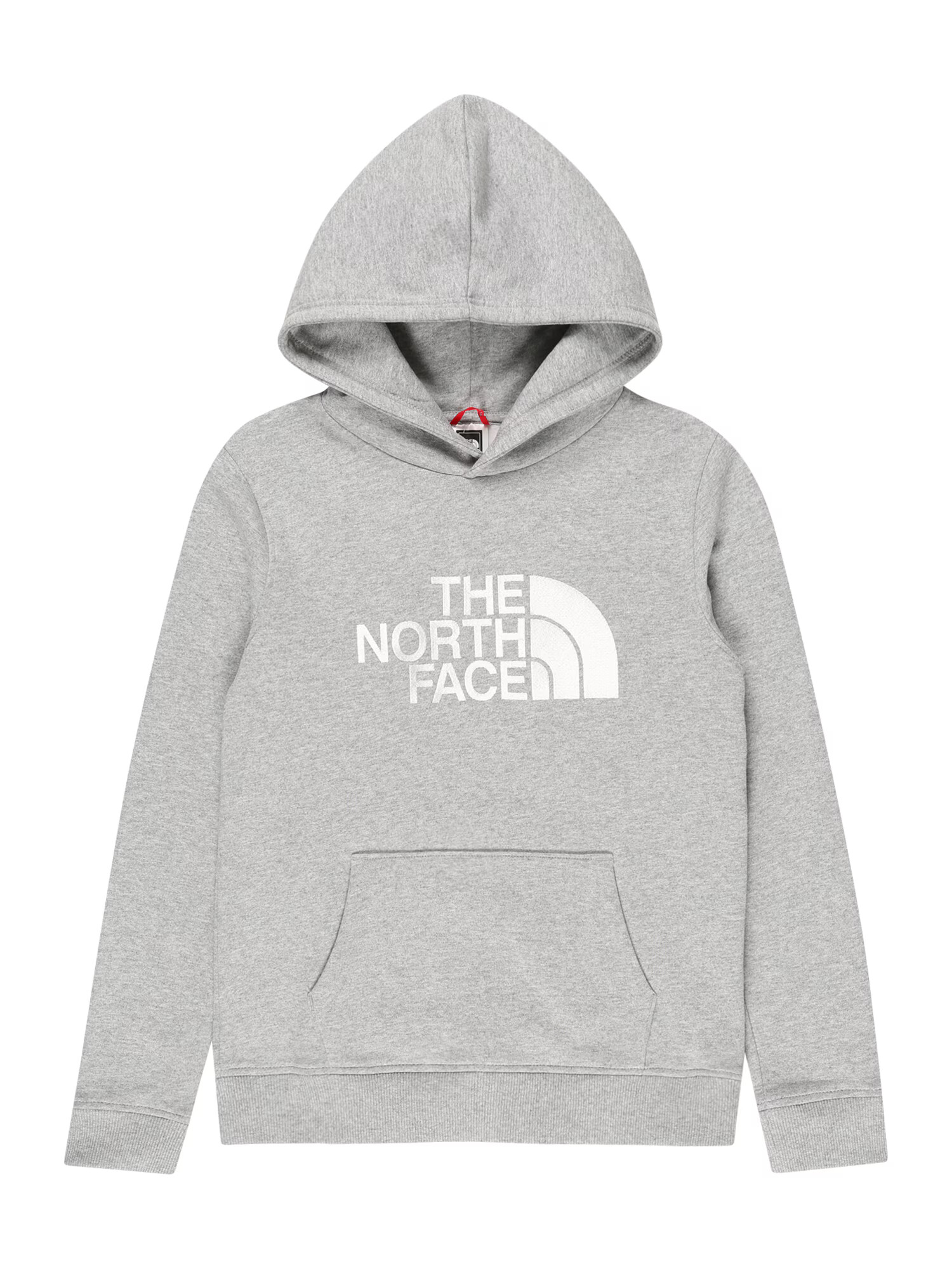 THE NORTH FACE Hanorac sport gri deschis / alb - Pled.ro