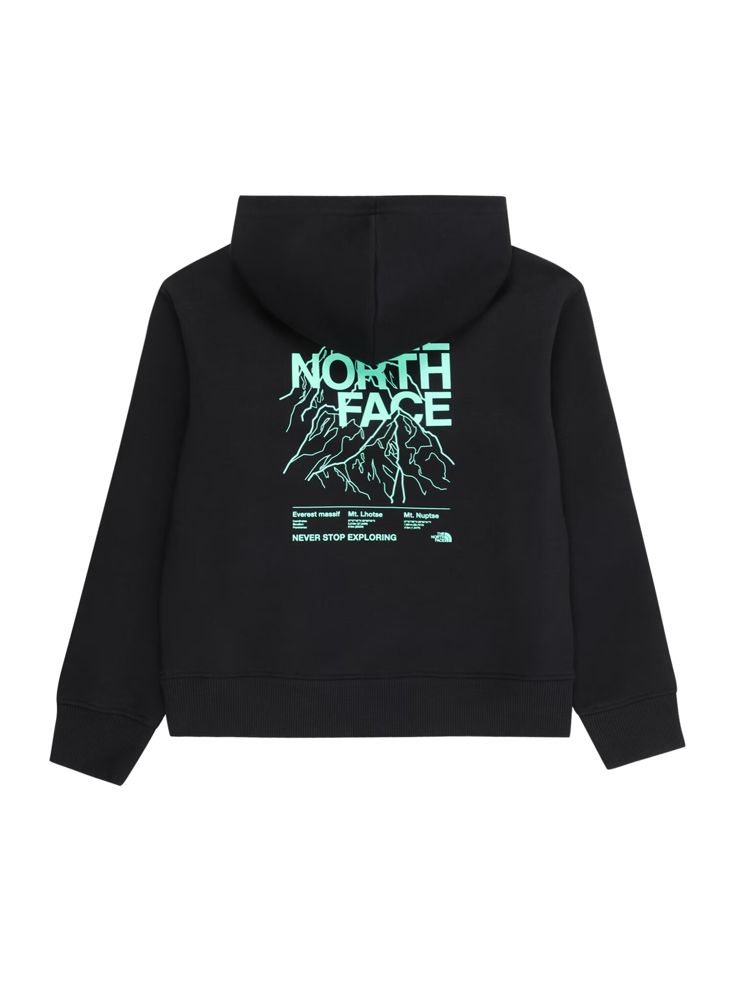 THE NORTH FACE Hanorac sport 'MOUNTAIN' verde mentă / negru / alb - Pled.ro