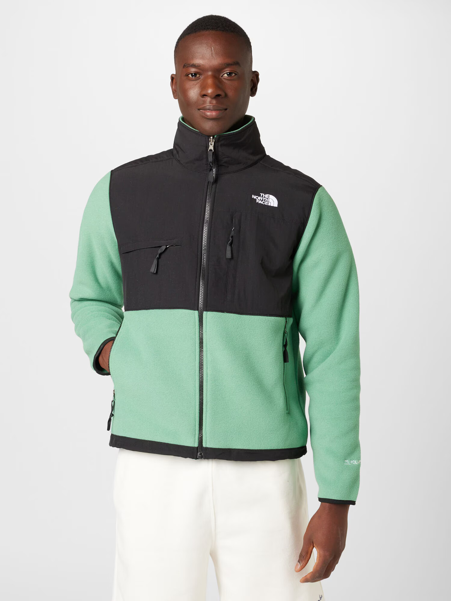 THE NORTH FACE Jachetă fleece 'Denali' verde mentă / negru / alb - Pled.ro